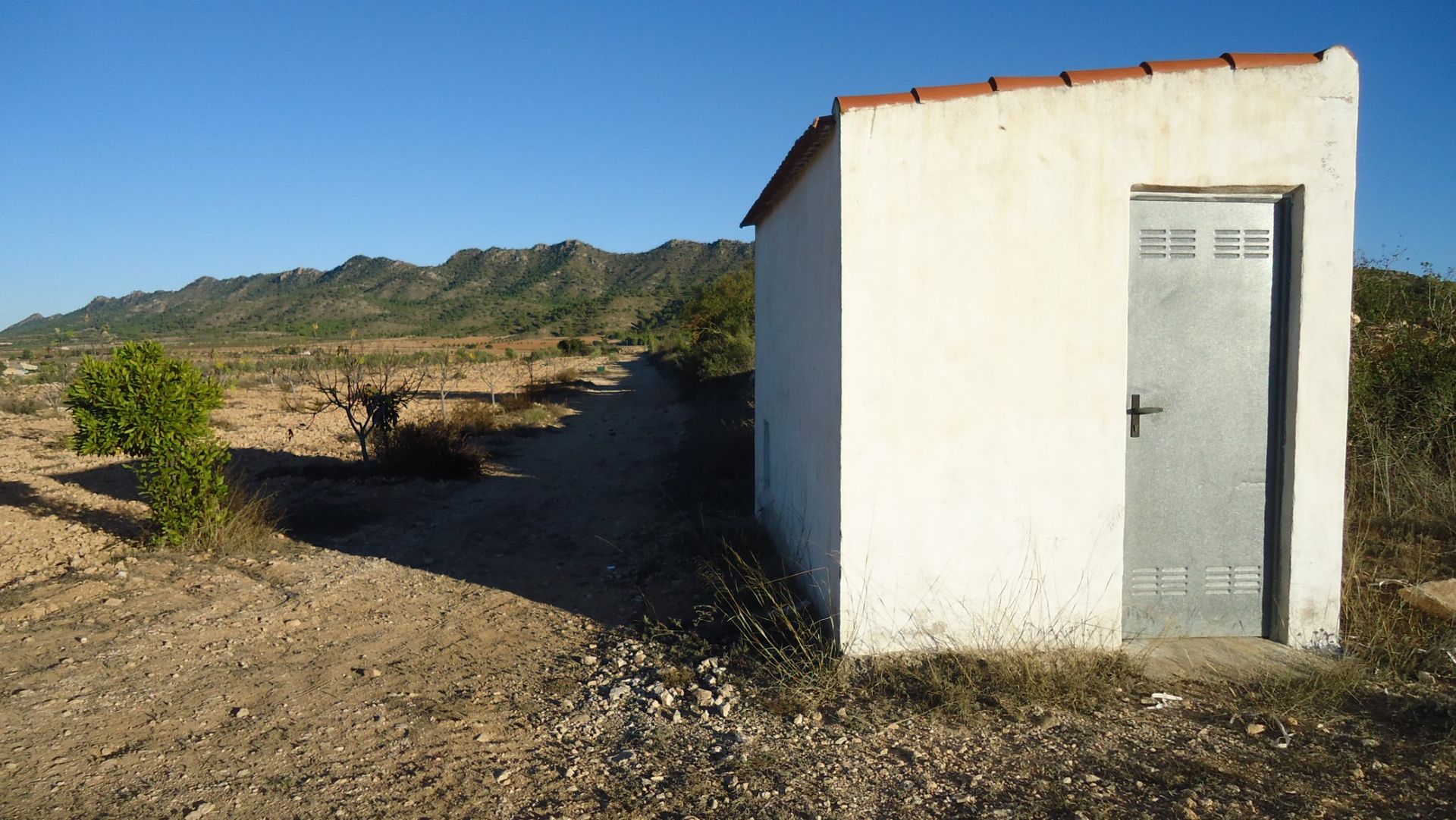 Terre dans Yecla, Región de Murcia 10921257