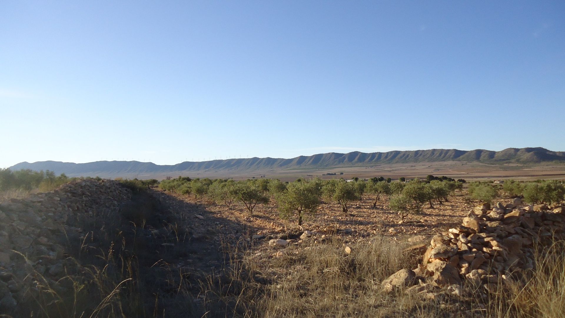 Land in Yecla, Región de Murcia 10921257