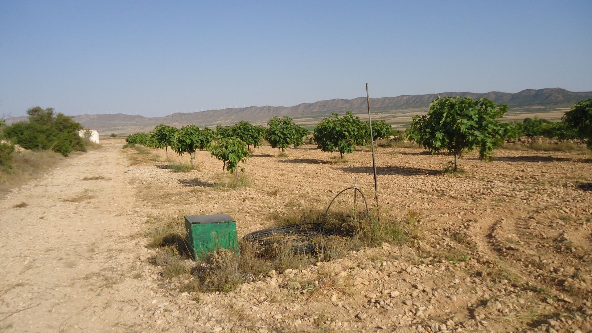 Land in Yecla, Región de Murcia 10921257