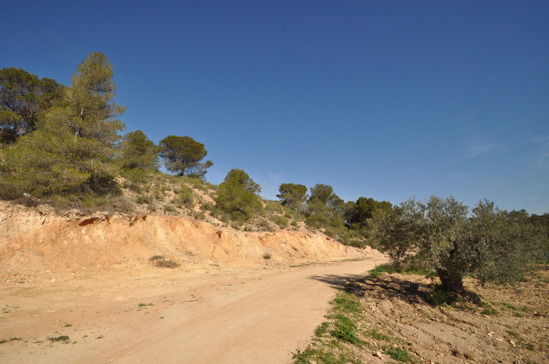 Γη σε Ο Πινόσο, Βαλένθια 10921259