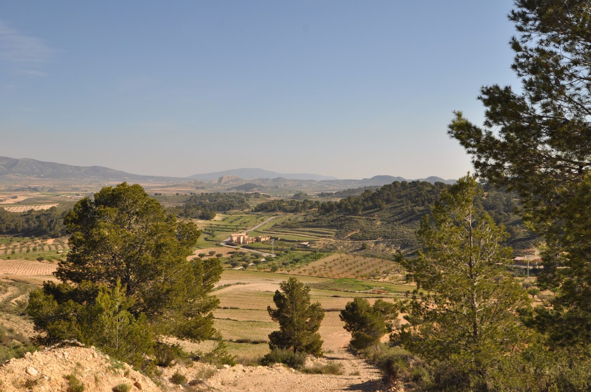 Tierra en pinoso, Valencia 10921260