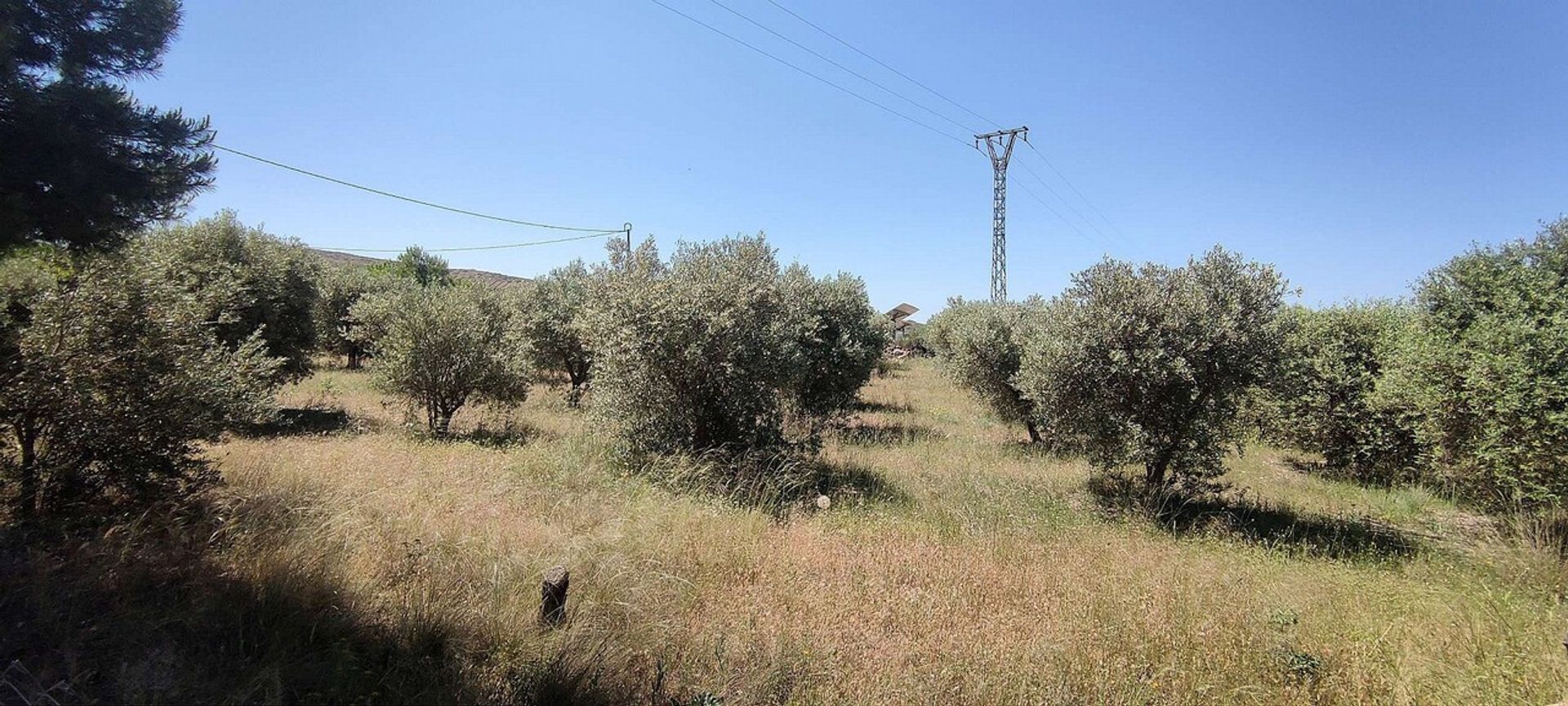 Hus i Yecla, Región de Murcia 10921458