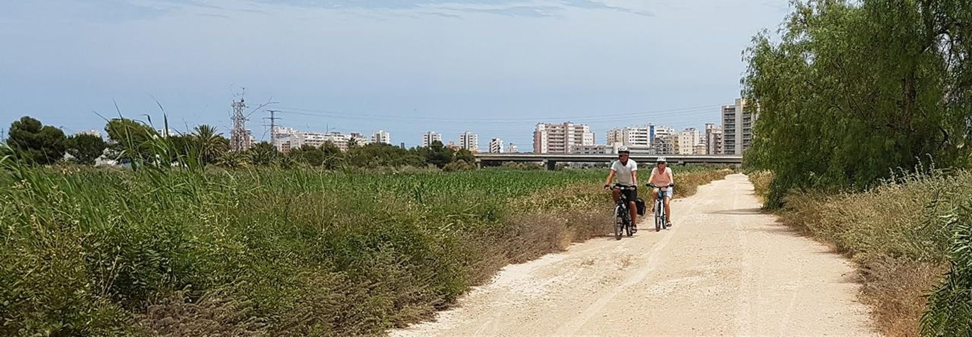 casa no Algorfa, Comunidad Valenciana 10921493