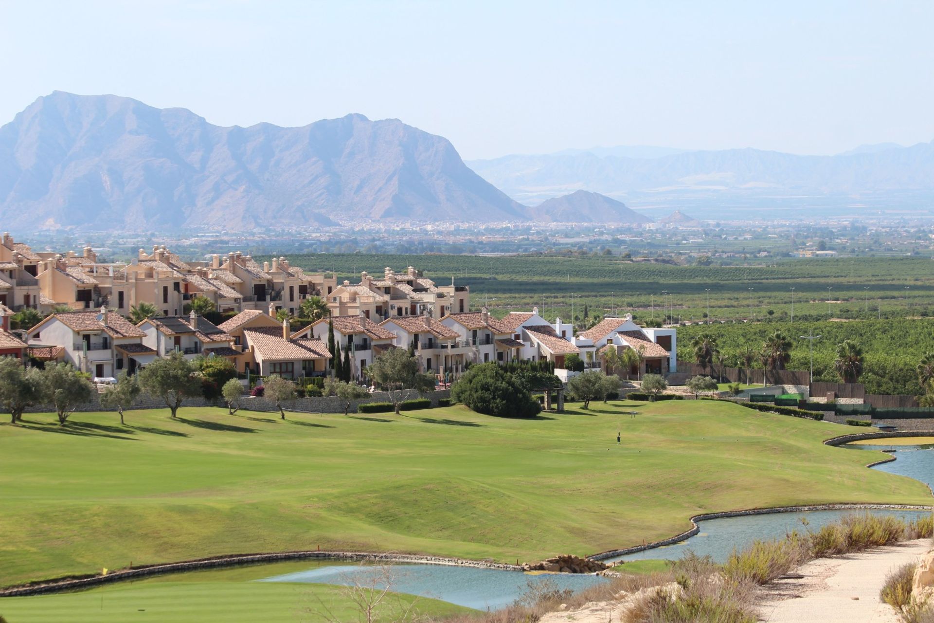 Condominium in Algorfa, Comunidad Valenciana 10921497