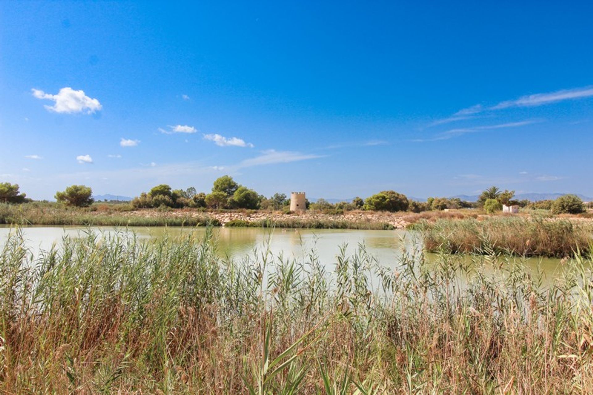 Eigentumswohnung im Guardamar del Segura, Valencian Community 10921941