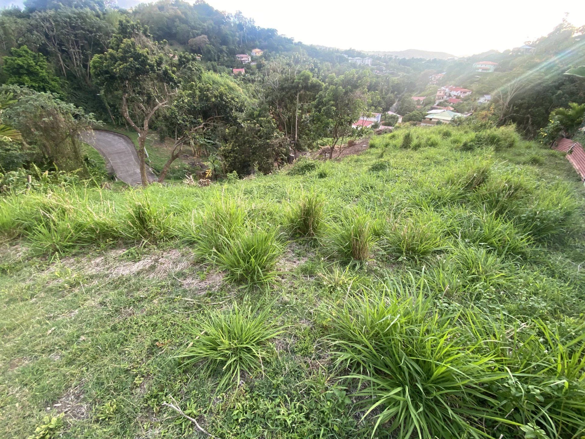 土地 在 蓋莊園, 格羅斯島 10922003