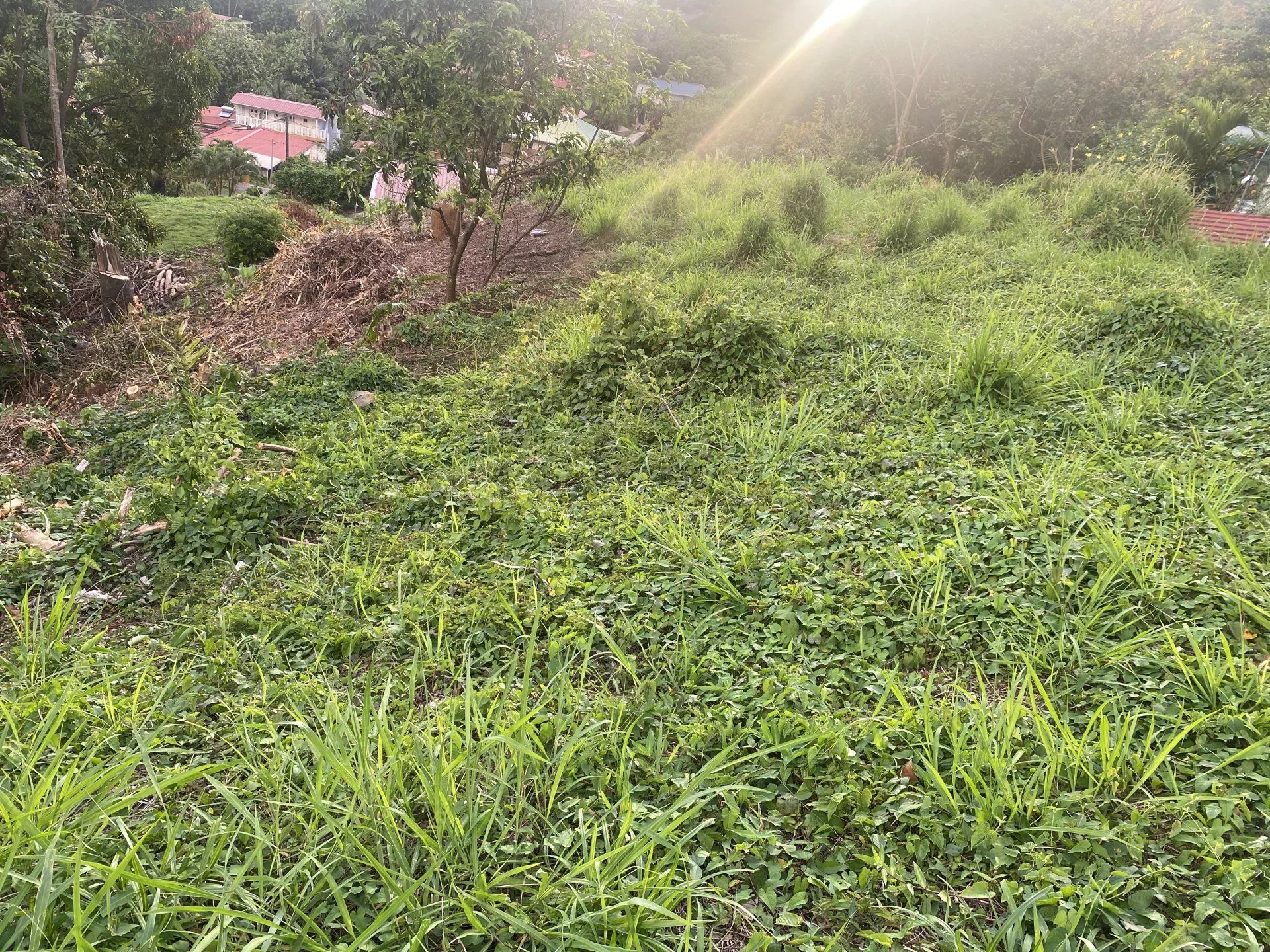 土地 在 蓋莊園, 格羅斯島 10922003