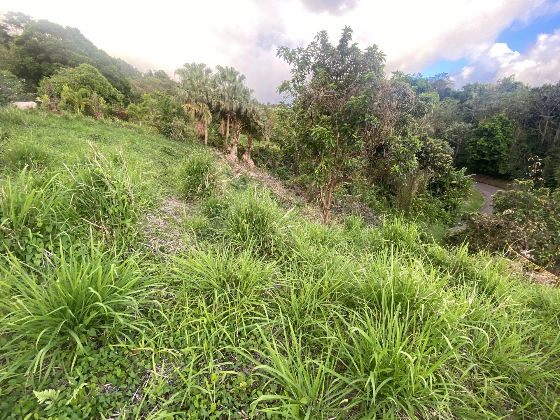 土地 在 蓋莊園, 格羅斯島 10922003