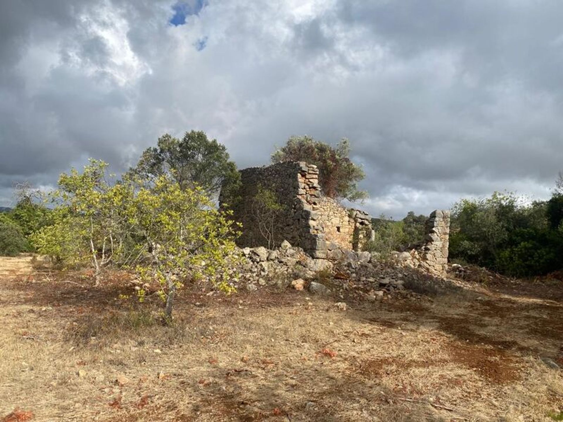 Land i Poco Novo, Faro 10922081