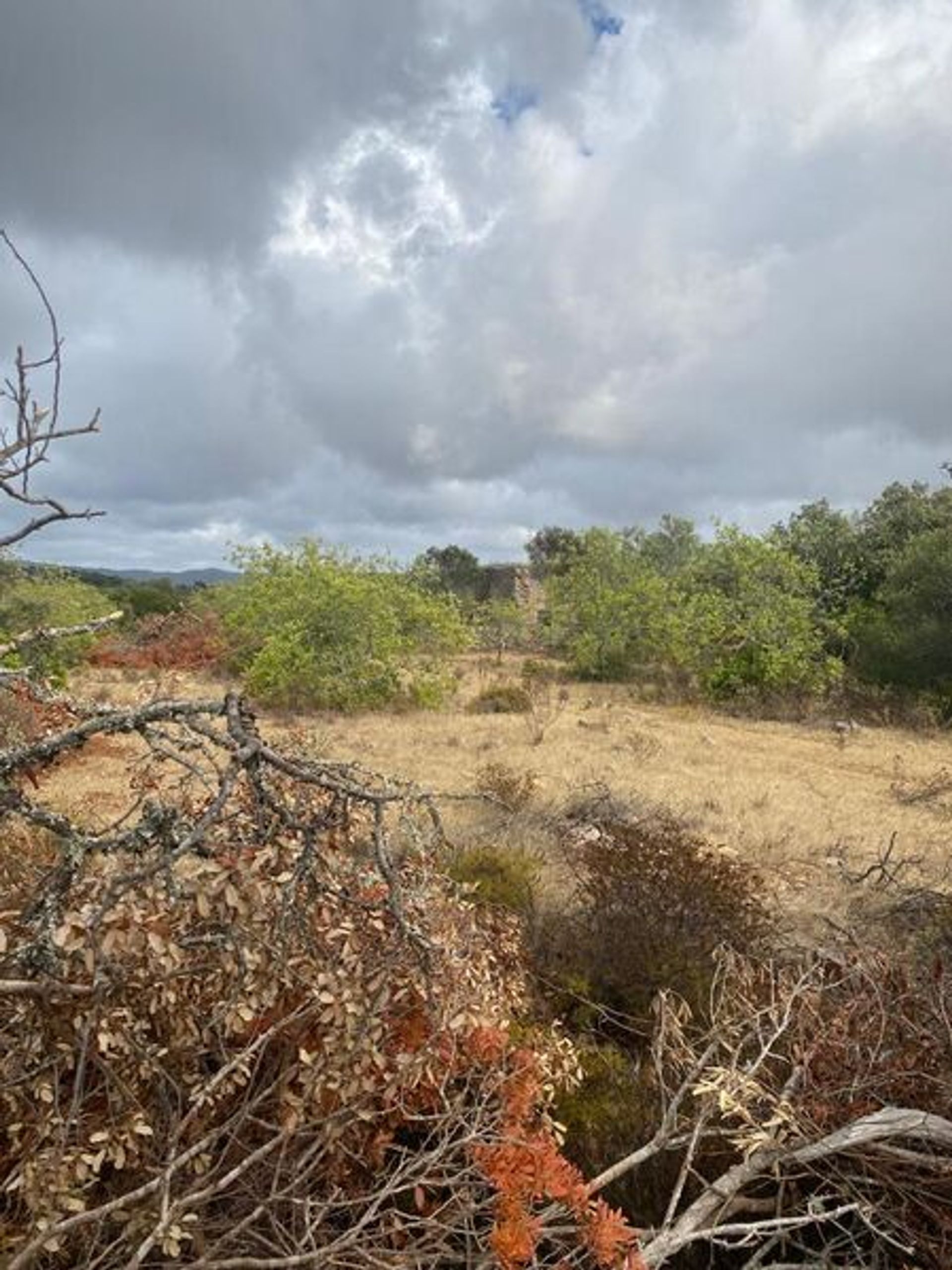 Tierra en Poco Novo, Faraón 10922081