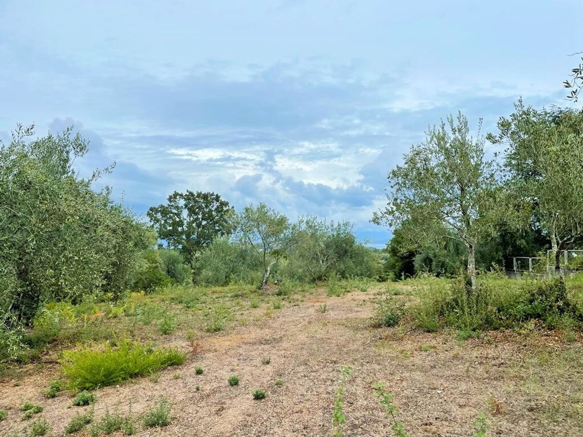 Terra no Gouvia, Ionia Nisia 10922176