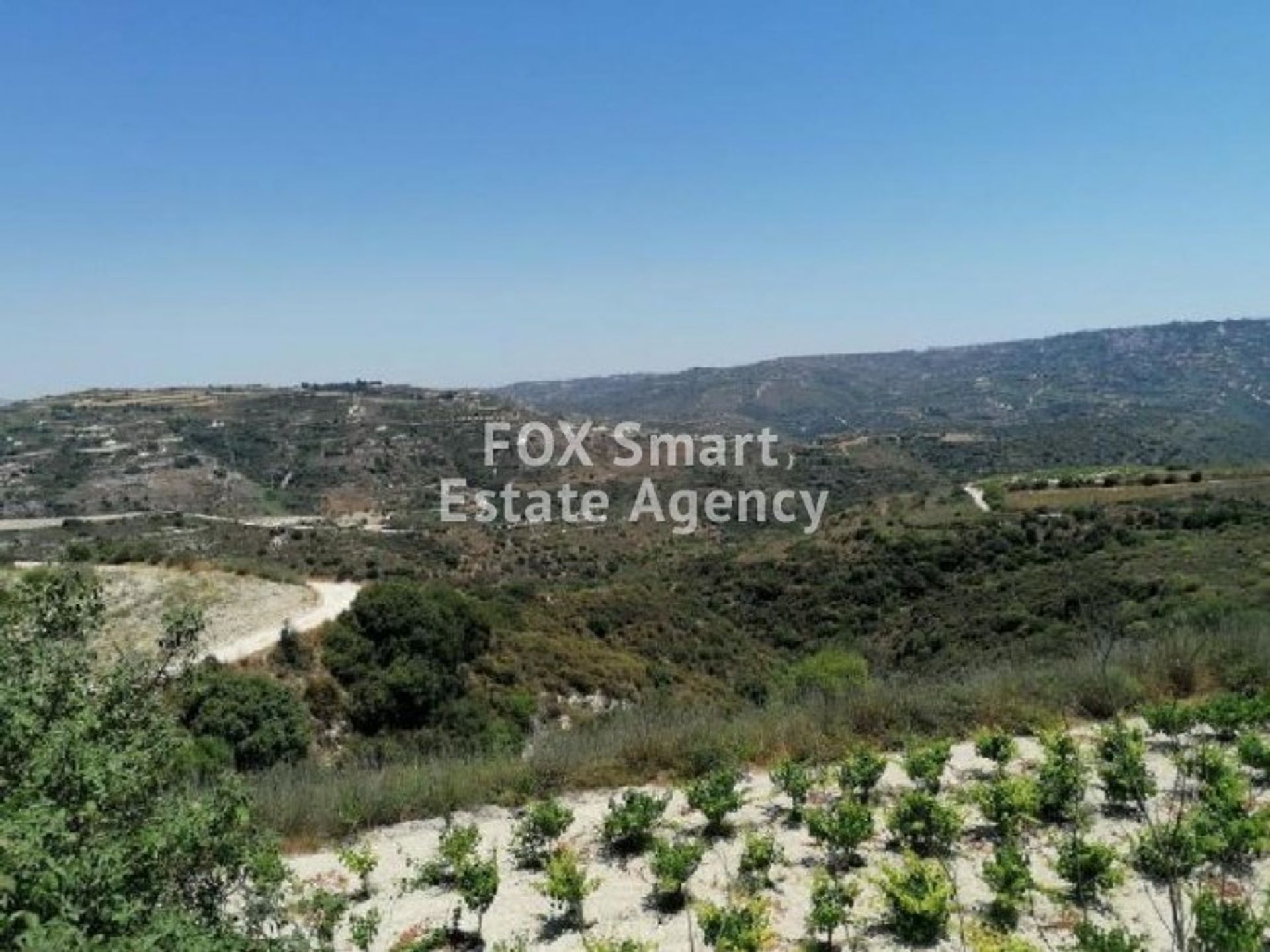 Land in Kathikas, Paphos 10922434