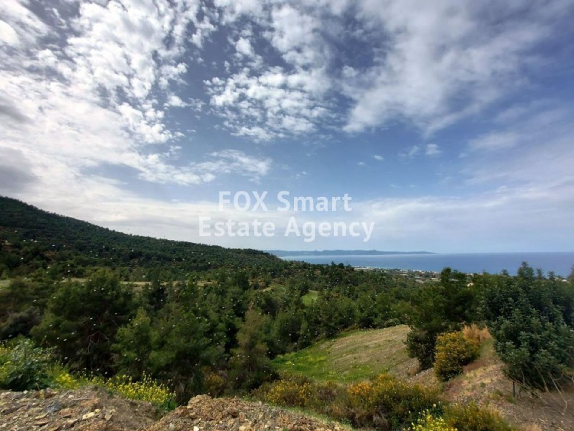 Tanah di kebijakan, Pafos 10922526