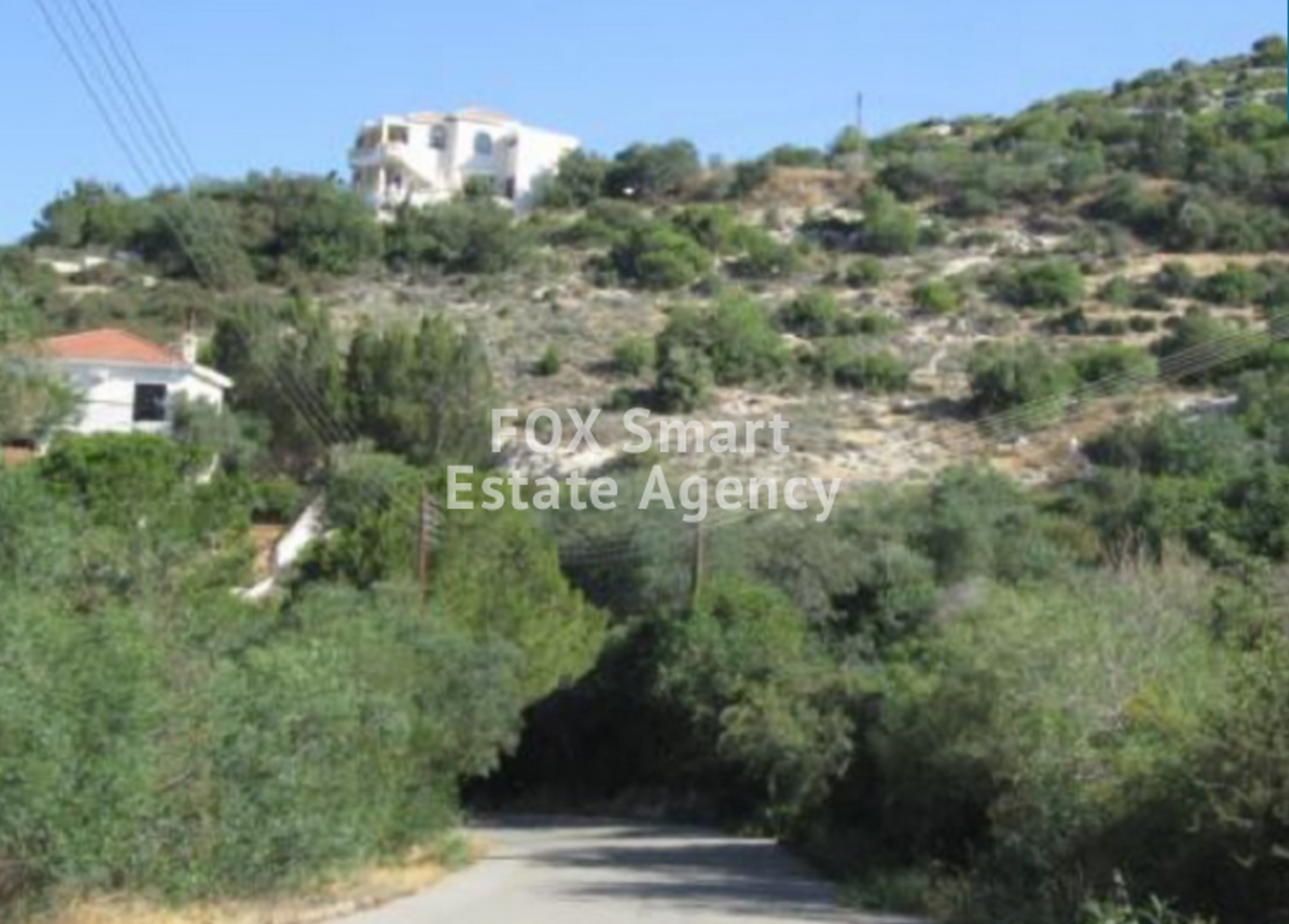 Land in Tala, Pafos 10923063