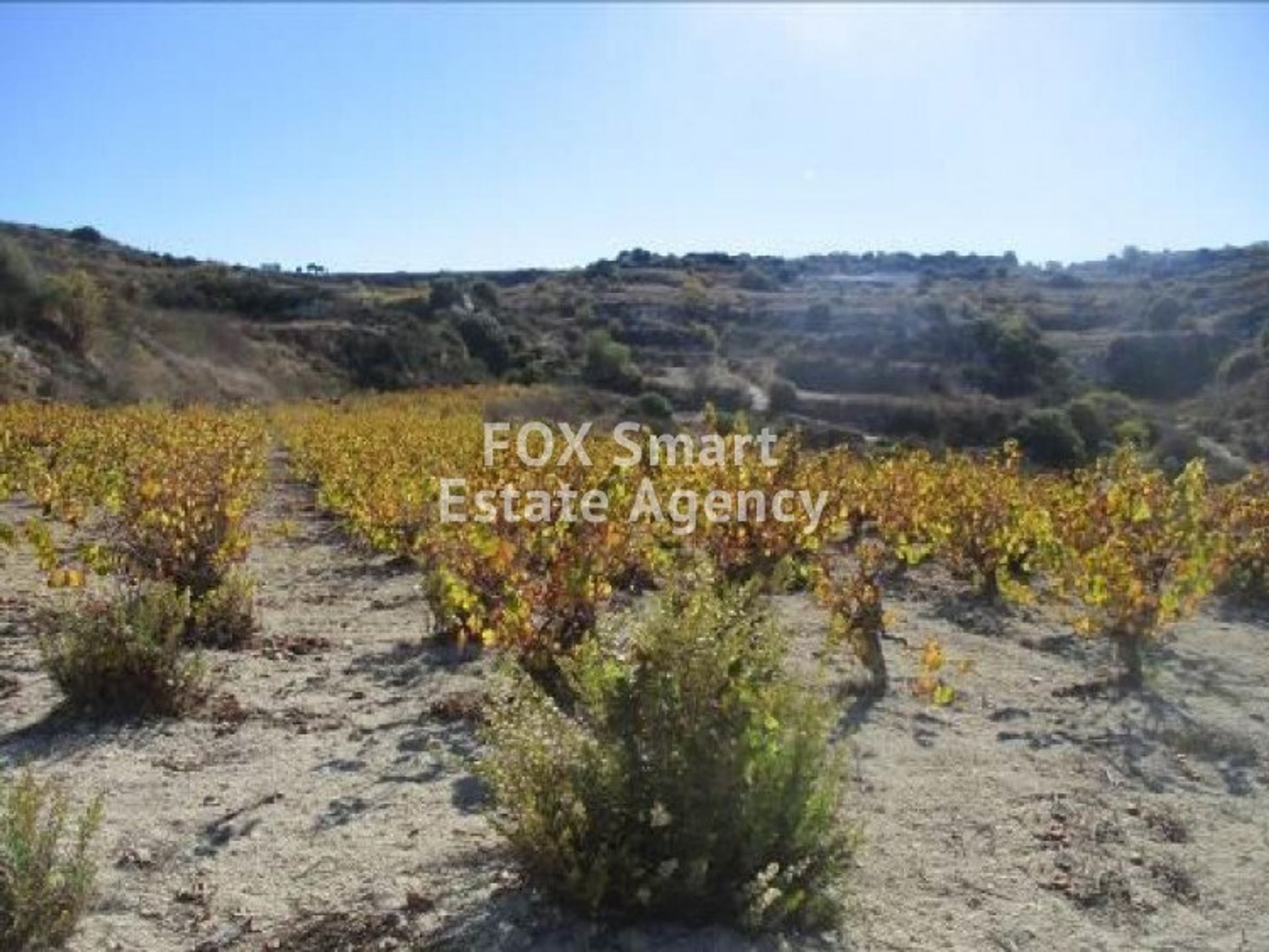 Land im Mesa Chorio, Pafos 10923073