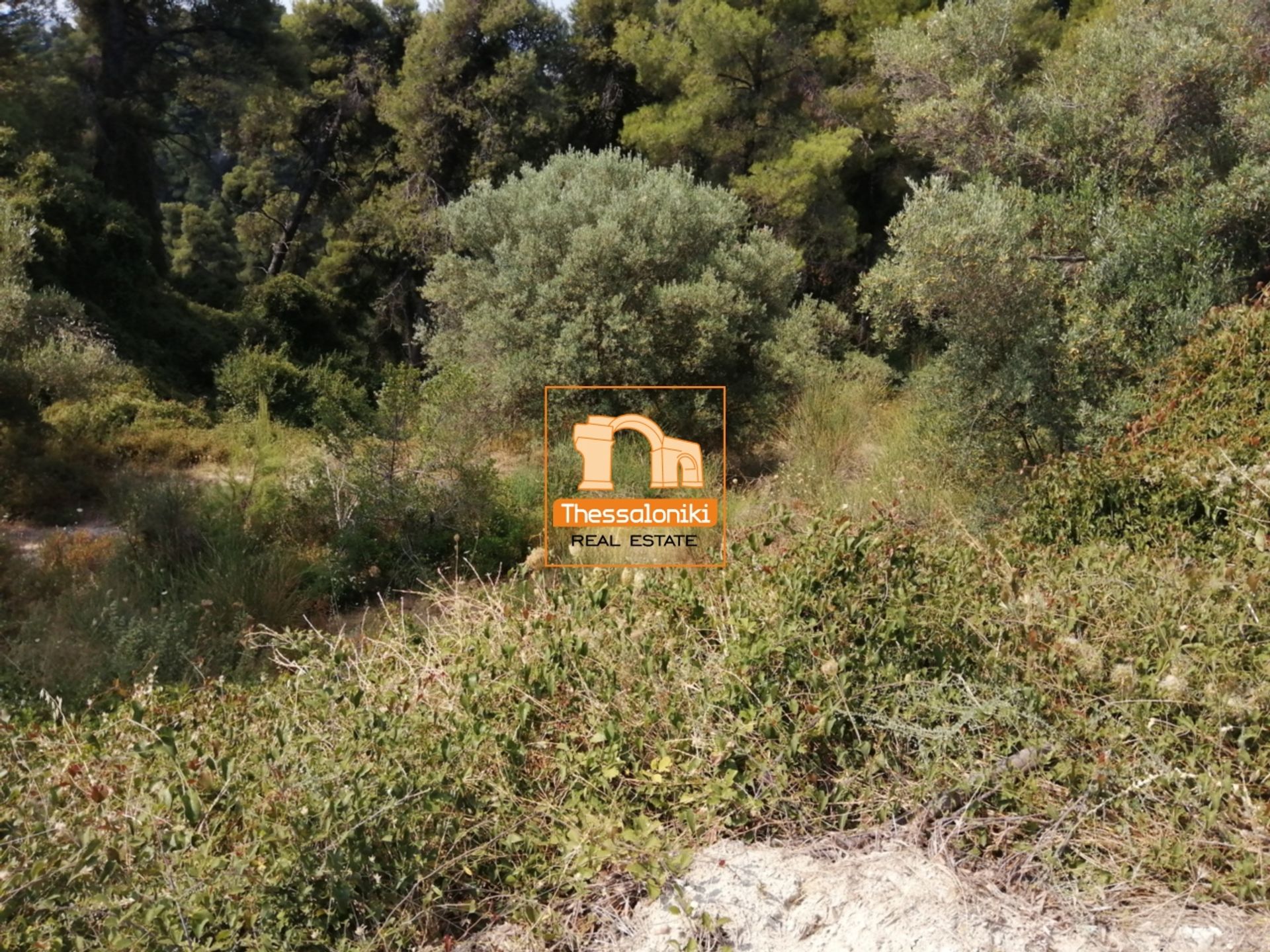 Land in Kassandreia, Kentriki Makedonia 10923560