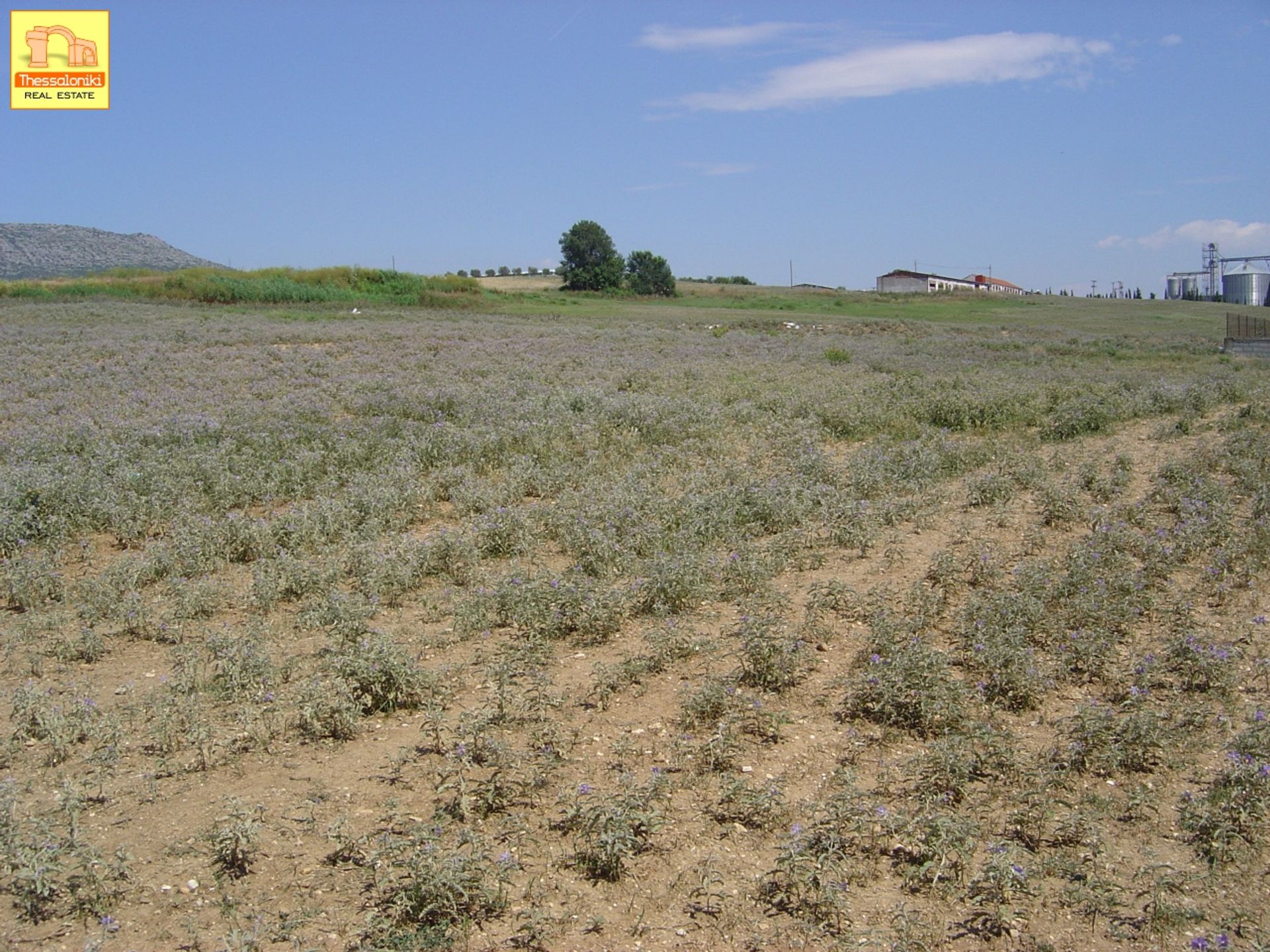 Terra no Diavata, Kentriki Makedonia 10923565