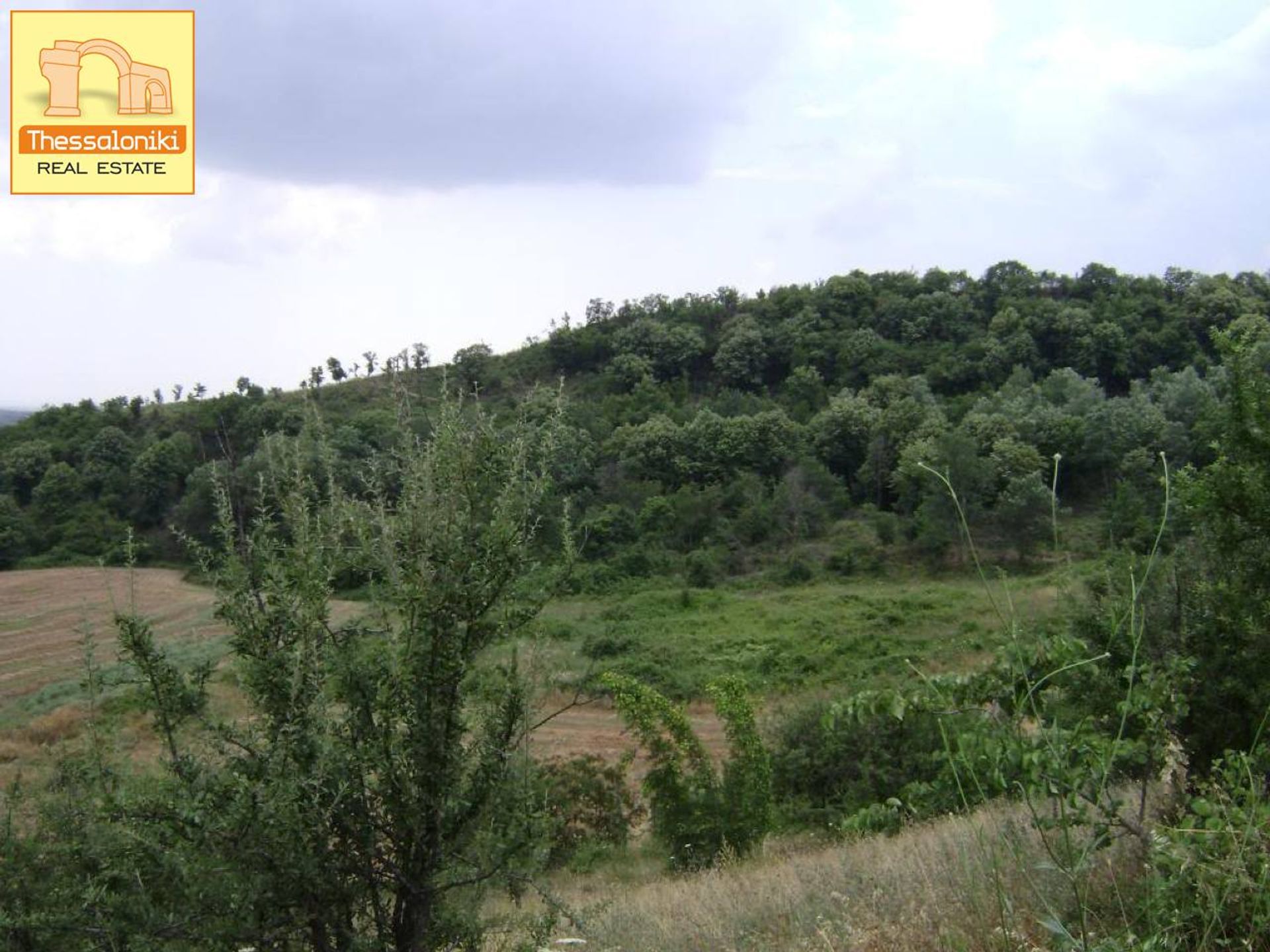 Land in Trilofos, Kentriki Makedonia 10923599