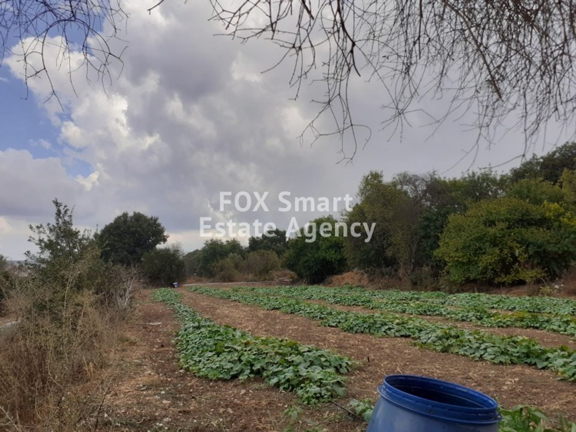 Land in Mesogi, Pafos 10924114