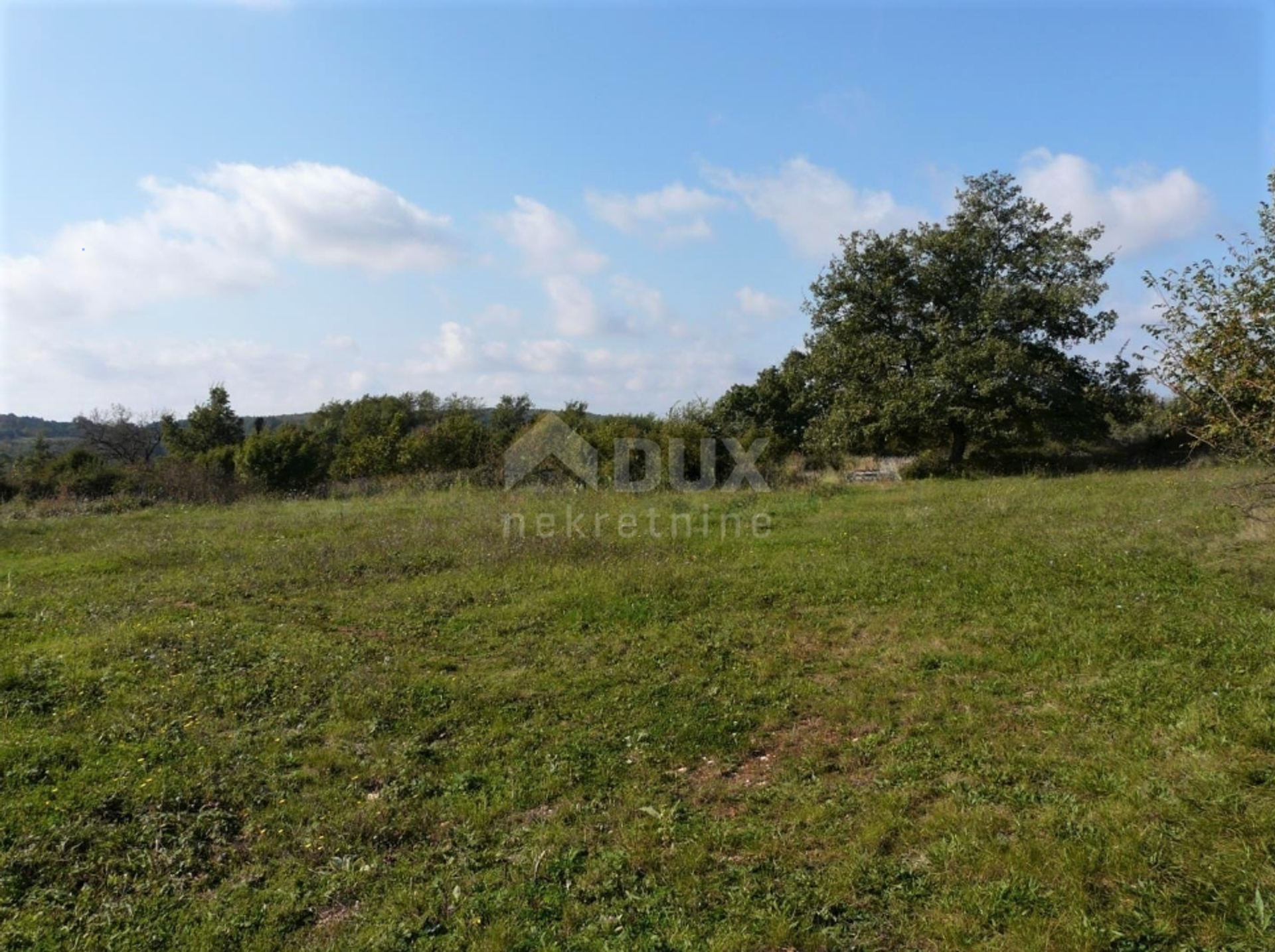 Land in Visnjan, Istarska Zupanija 10924416