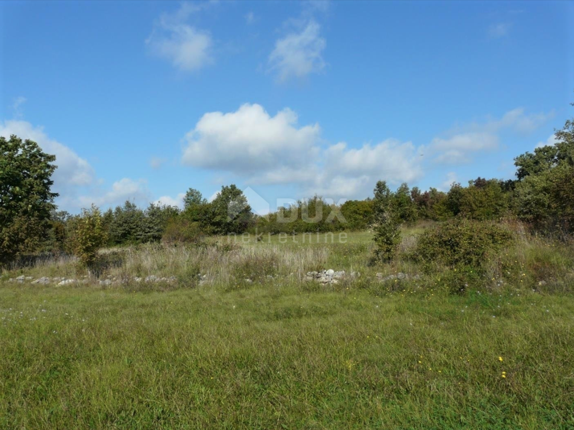 Land in Visnjan, Istarska Zupanija 10924416