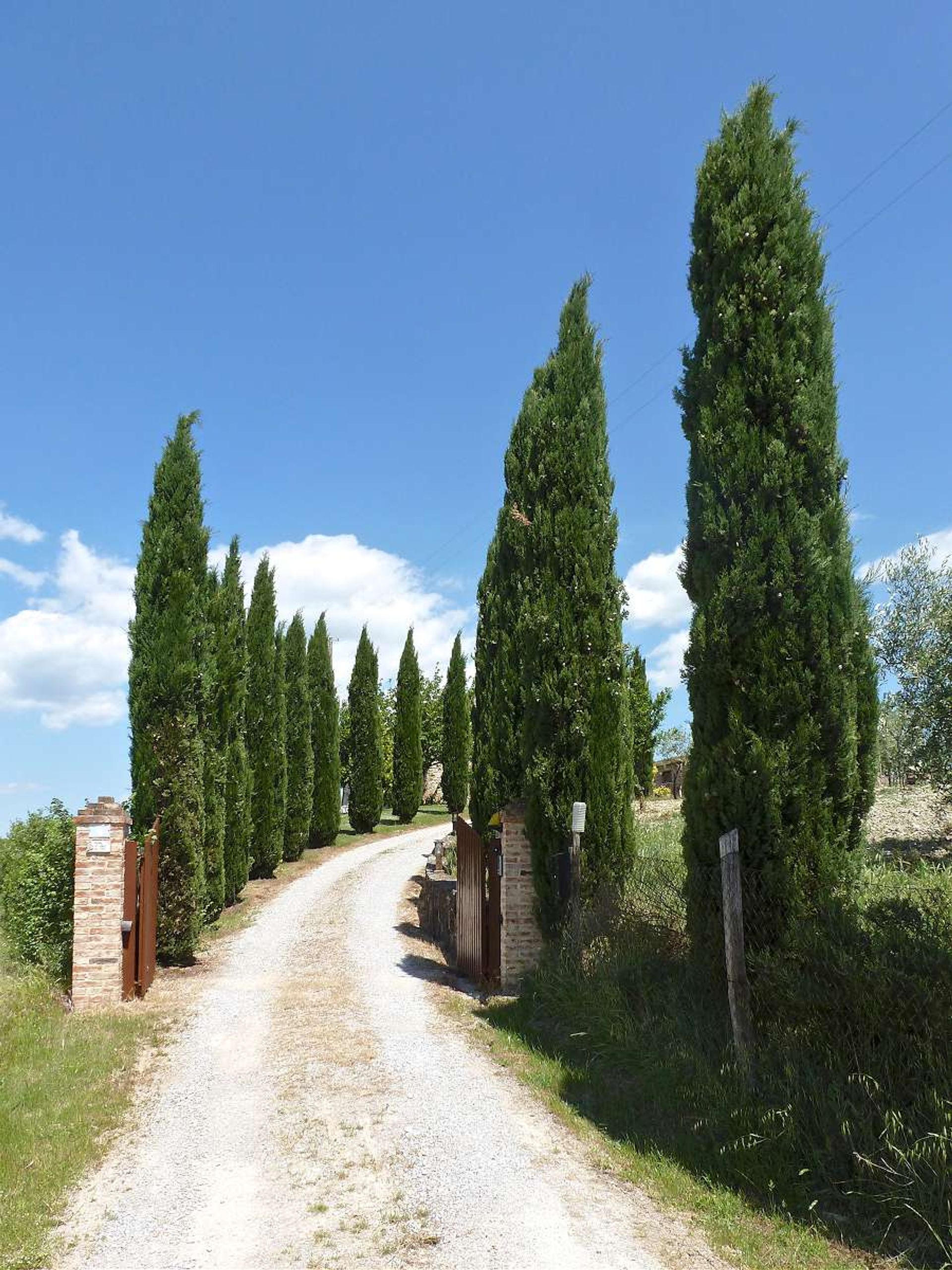 Casa nel Asciano, Tuscany 10925861