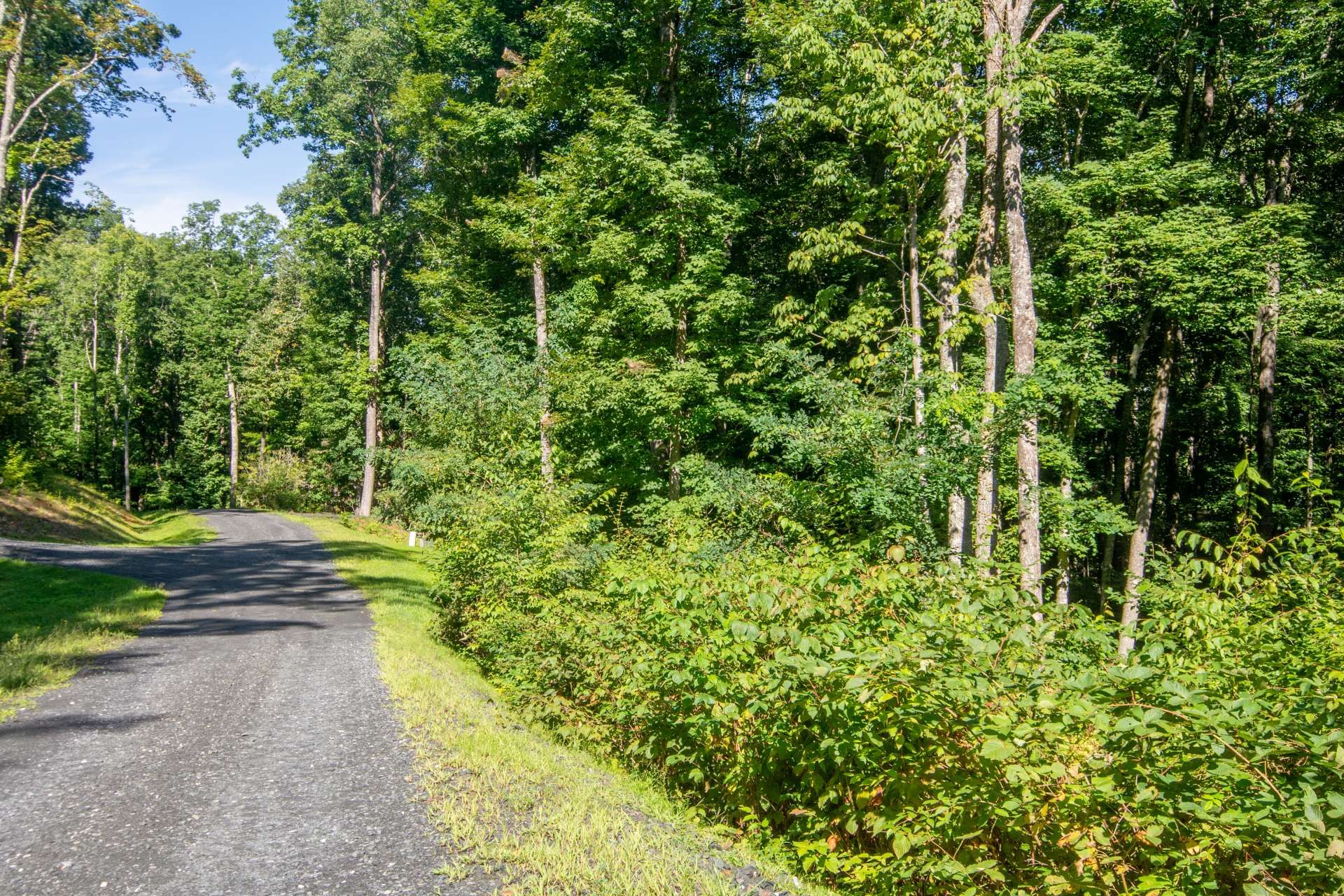 Συγκυριαρχία σε Shatley Springs, North Carolina 10926034