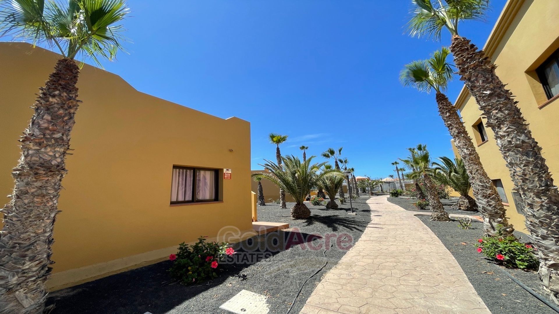 Condominium dans Corralejo, Canarias 10926956