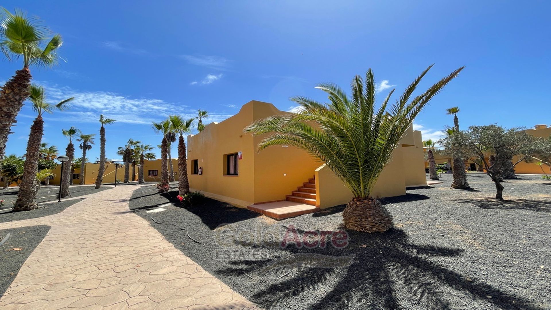 Condominium dans Corralejo, Canarias 10926956