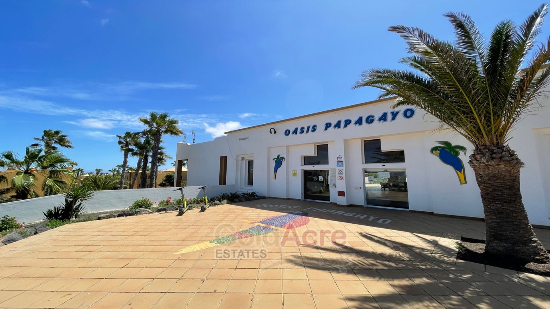 Condominium dans Corralejo, Canarias 10926956