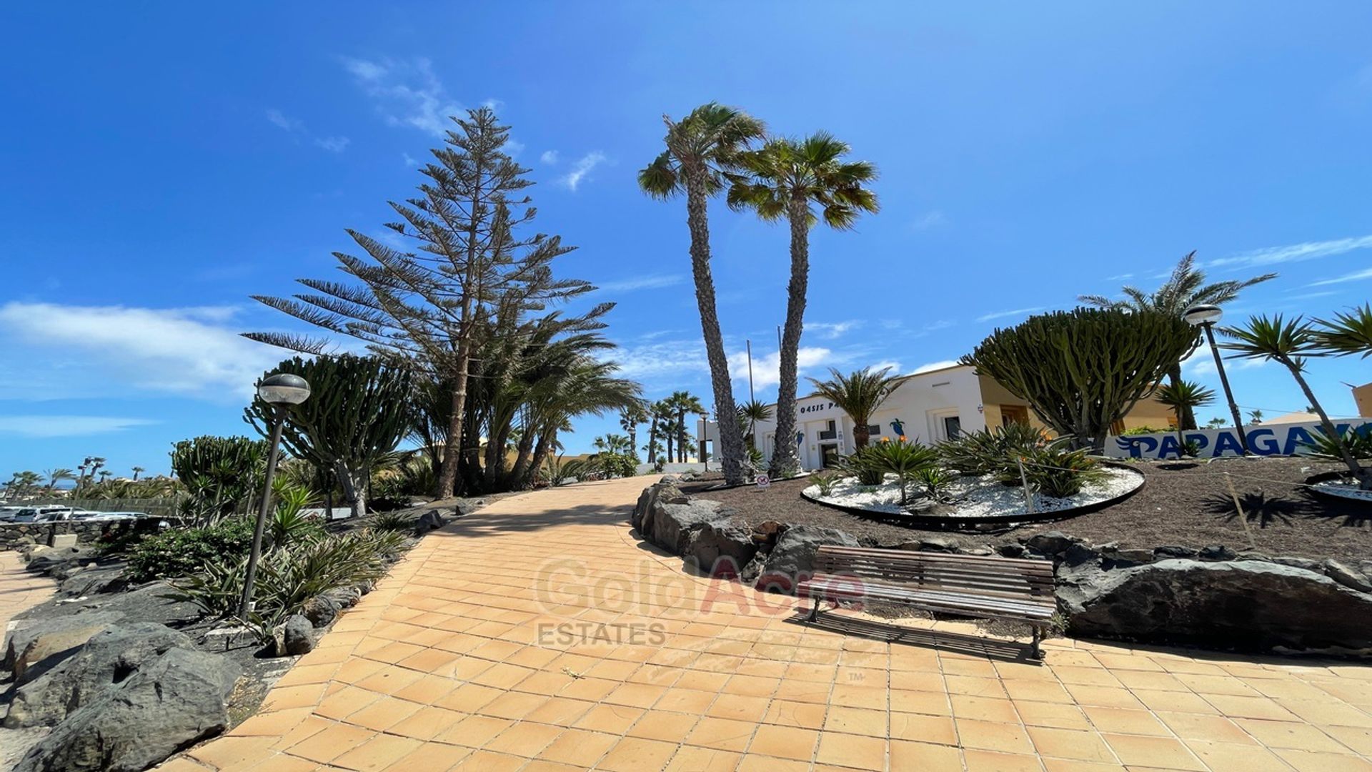 Condominium dans Corralejo, Canarias 10926956