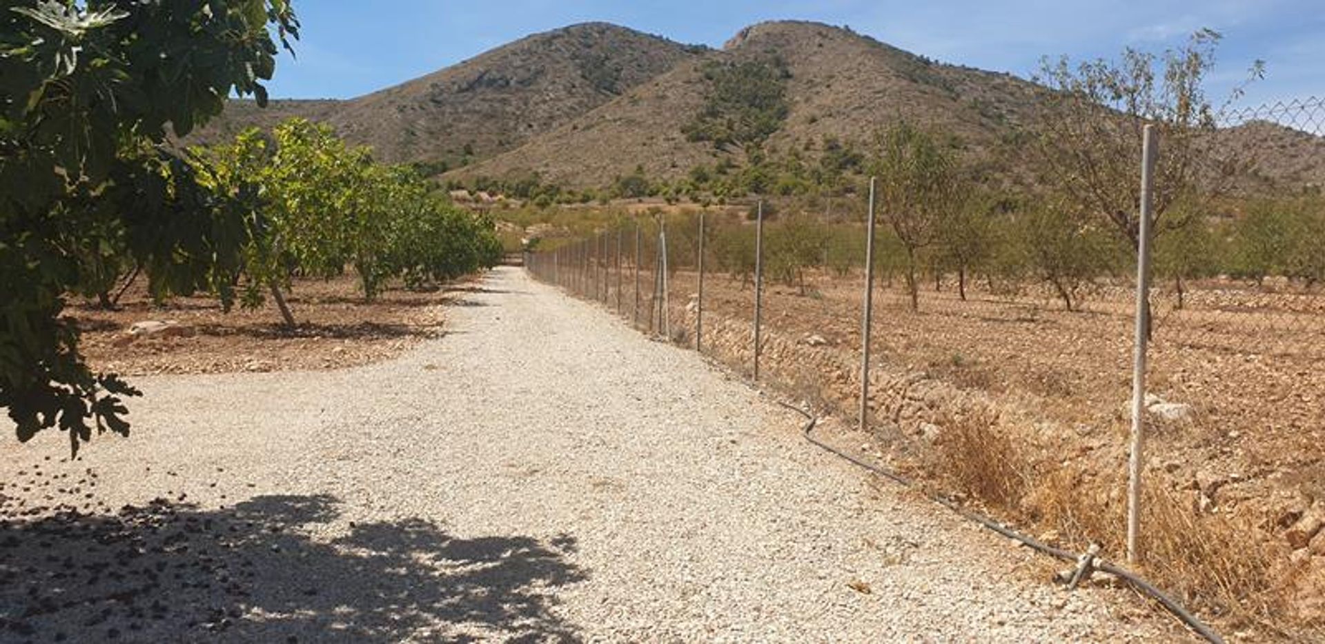 loger dans El Fondó de les Neus, Valencian Community 10927168