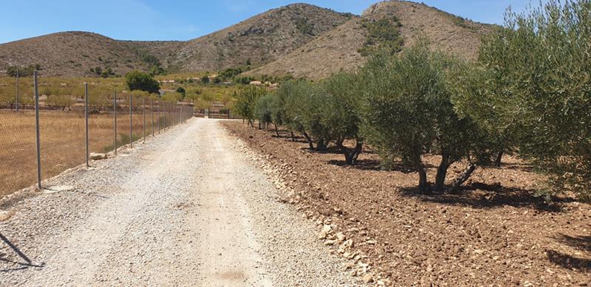 loger dans El Fondó de les Neus, Valencian Community 10927168