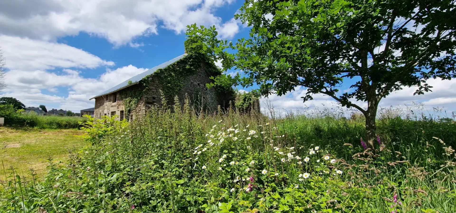 房子 在 Saint-Méloir-des-Bois, Brittany 10927259