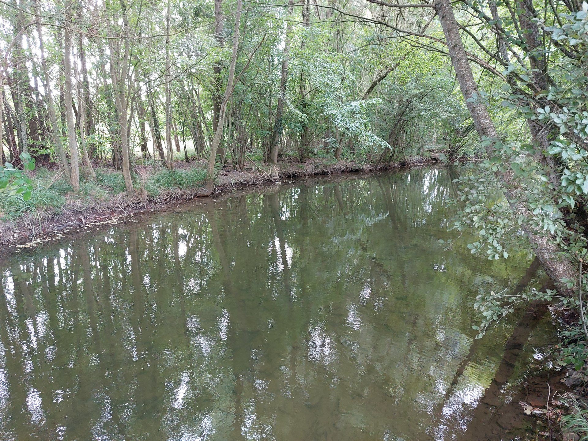 بيت في Verteuil-sur-Charente, Nouvelle-Aquitaine 10927811