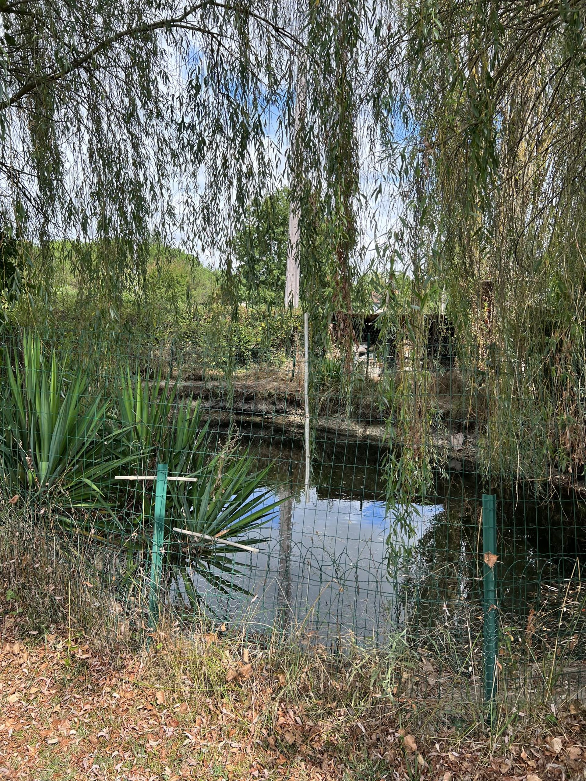 Casa nel Mirande, Occitanie 10928048