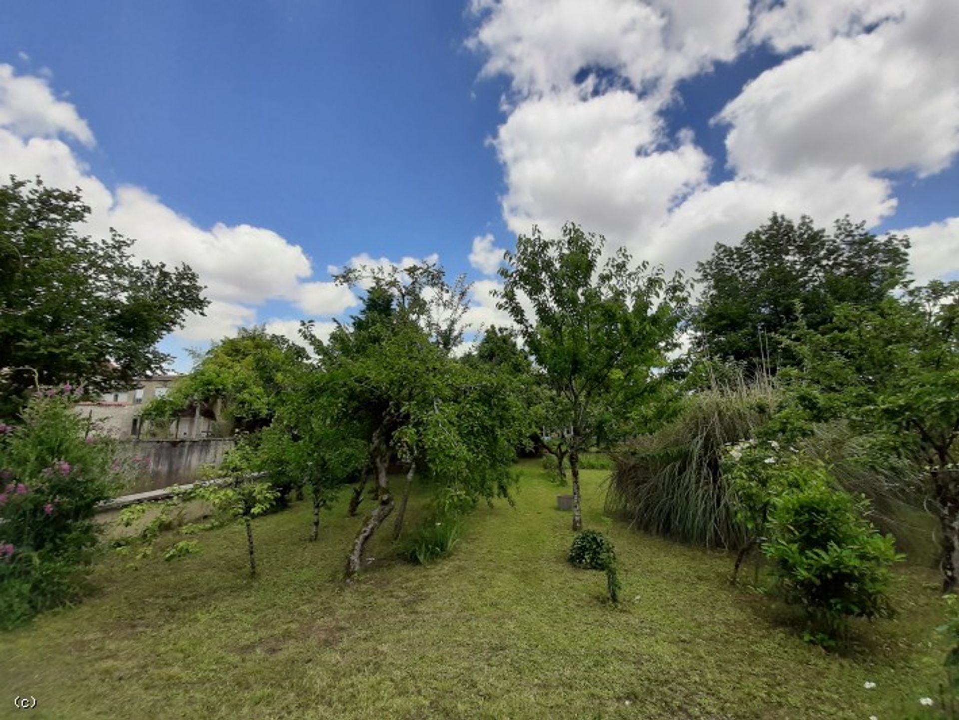 Casa nel Ruffec, Nouvelle-Aquitaine 10928122