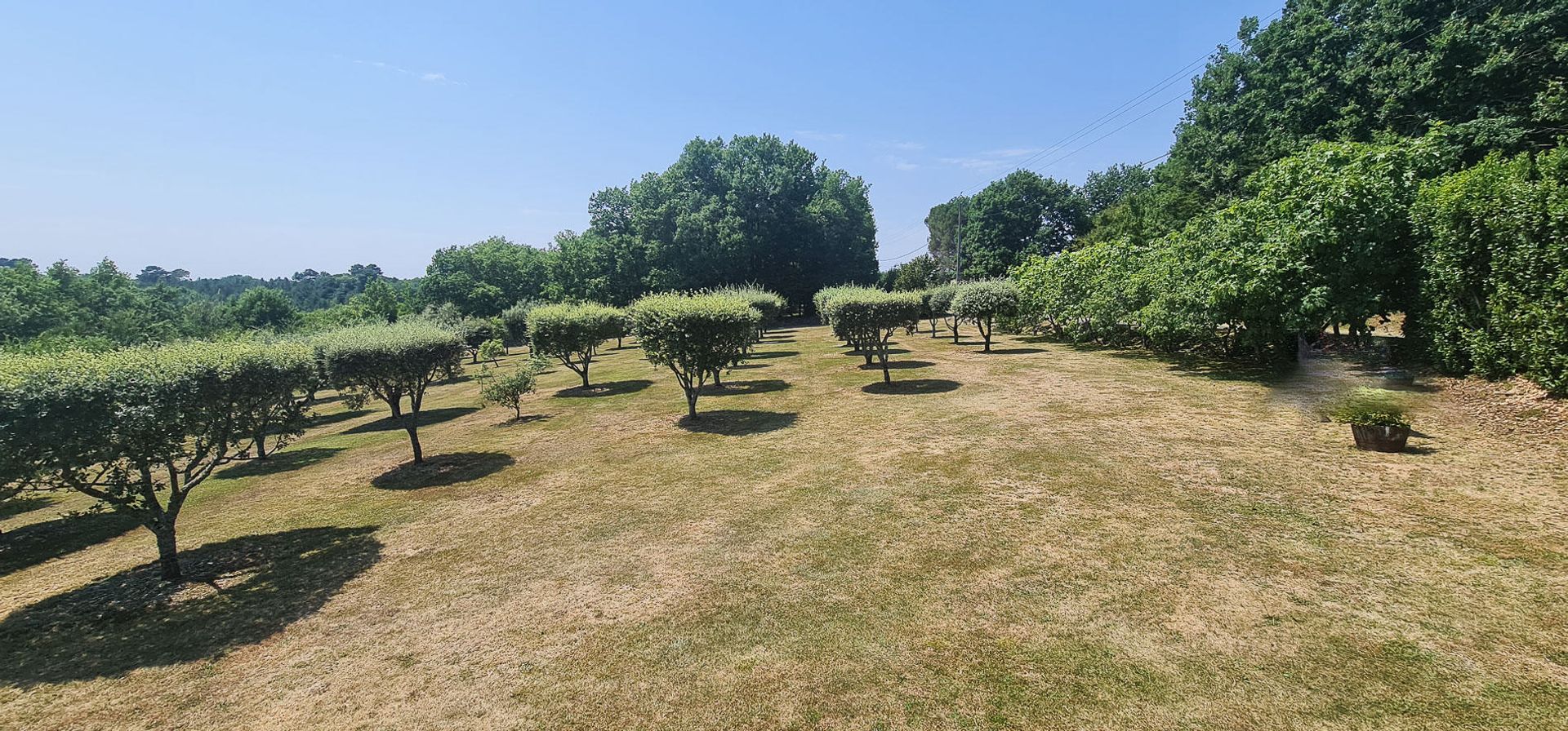 Casa nel Salignac-Eyvigues, Nouvelle-Aquitaine 10928312