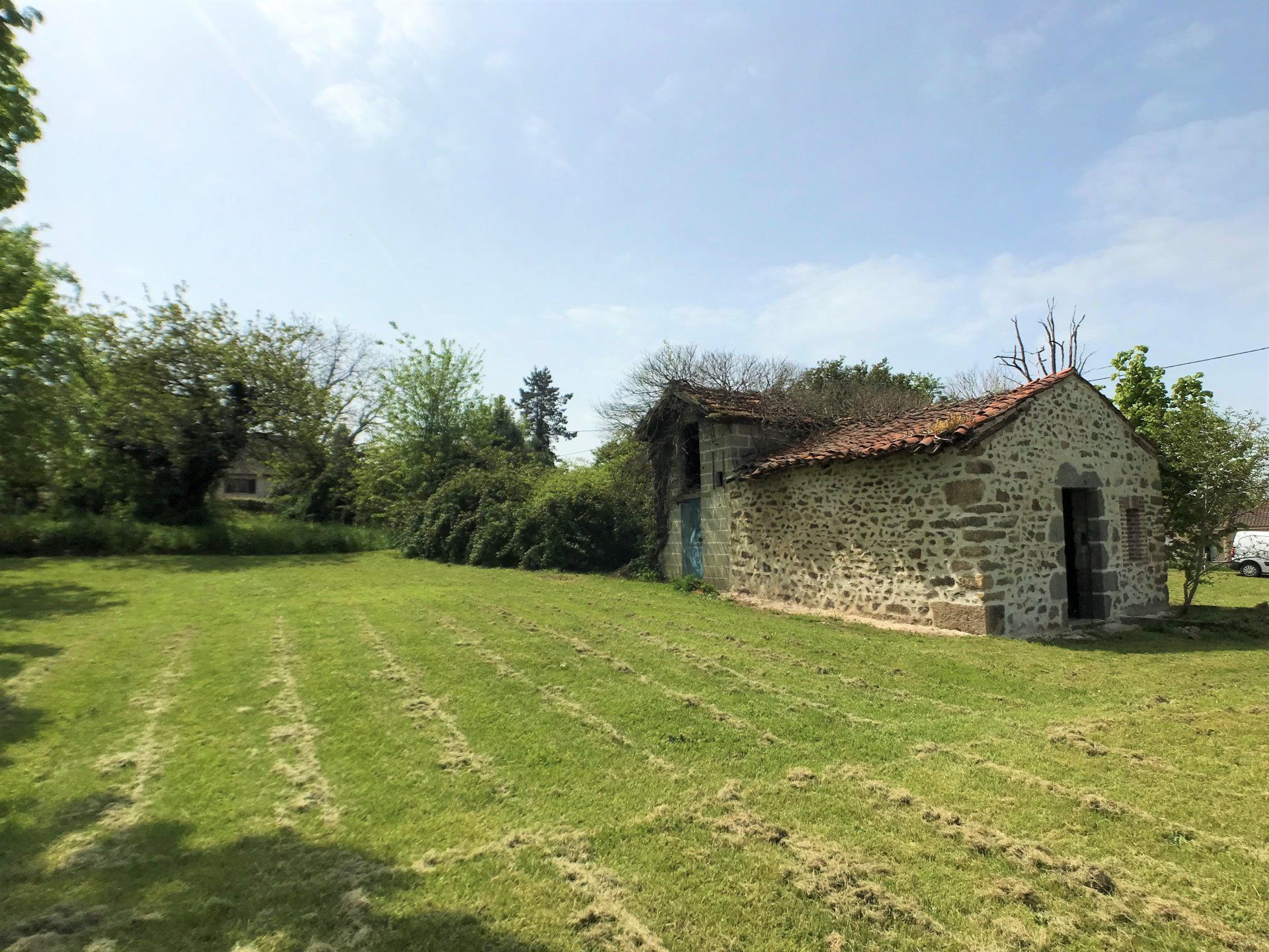 Будинок в Le Dorat, Nouvelle-Aquitaine 10928415