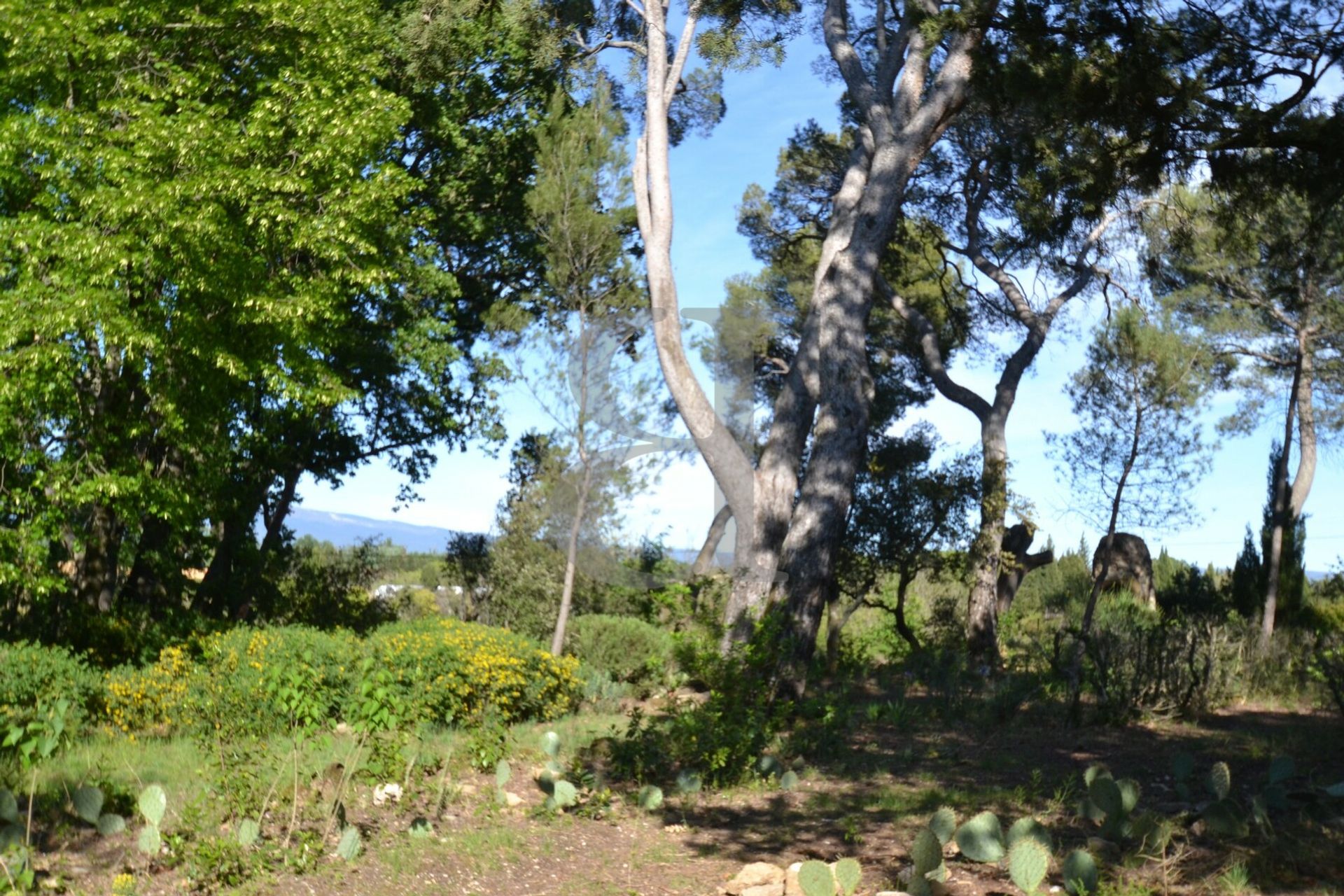 Lain di Villedieu, Provence-Alpes-Côte d'Azur 10928497