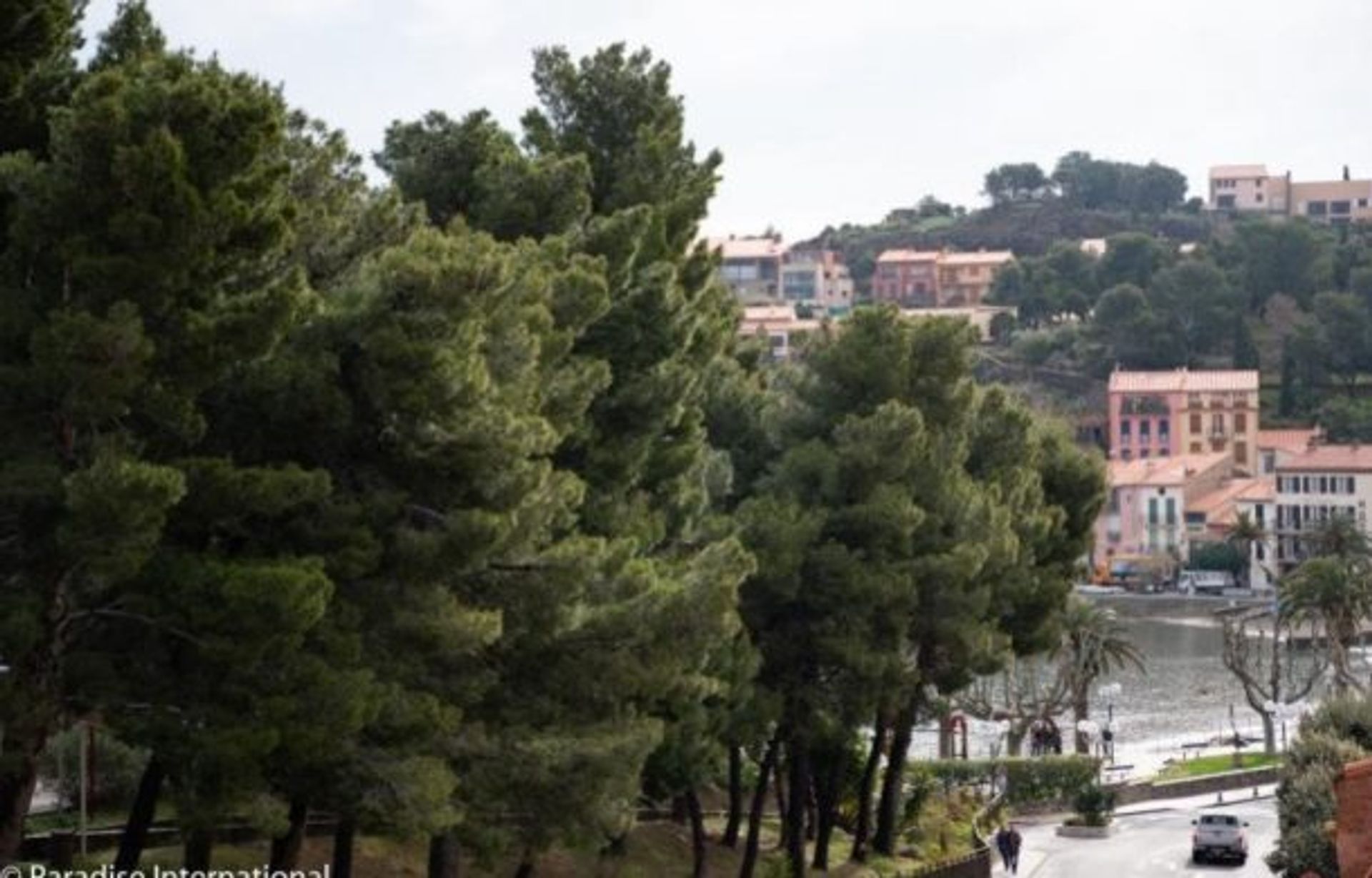 casa en Collioure, Occitanie 10929327