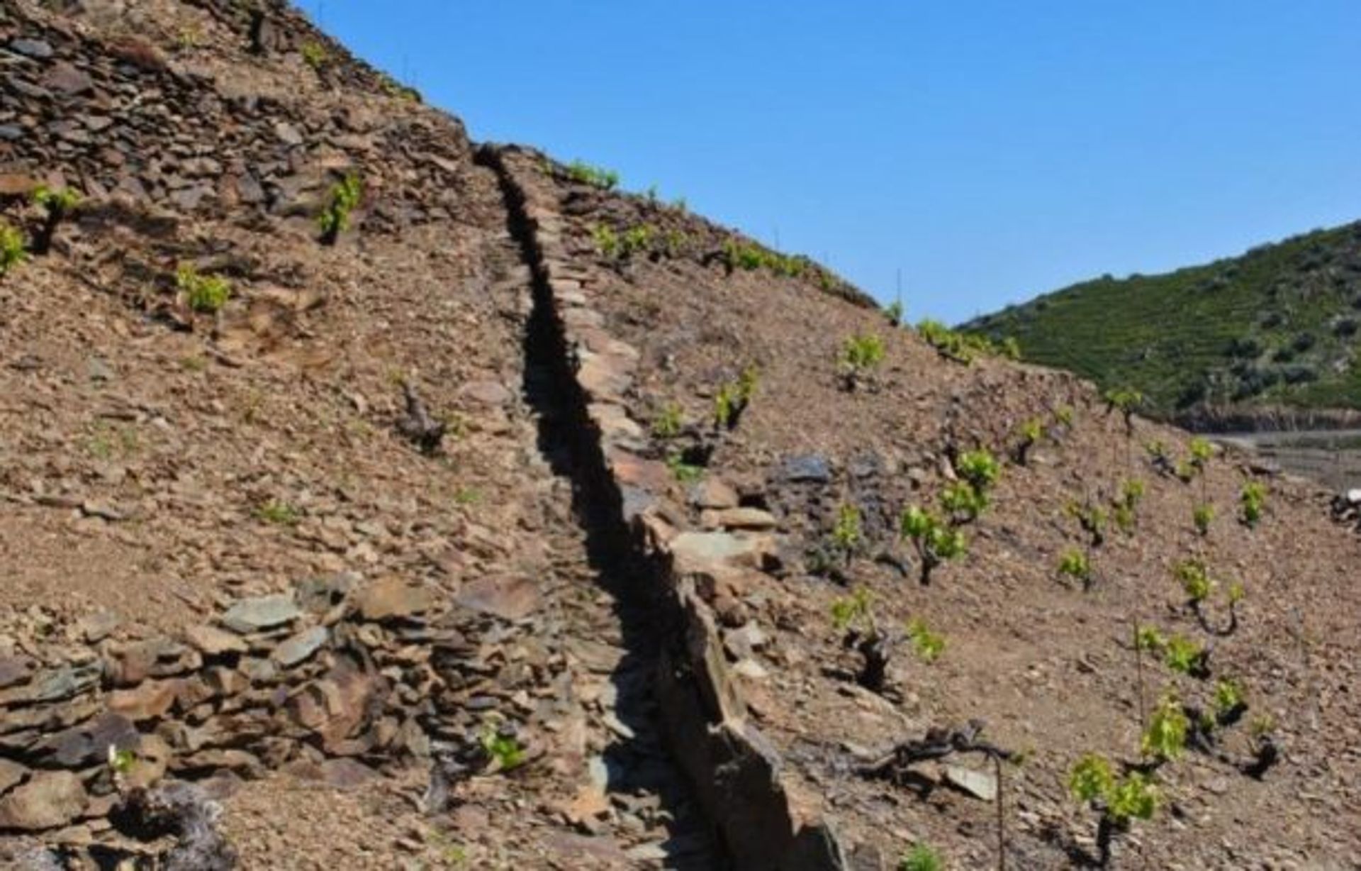 Rumah di Banyuls-sur-Mer, Occitanie 10929370