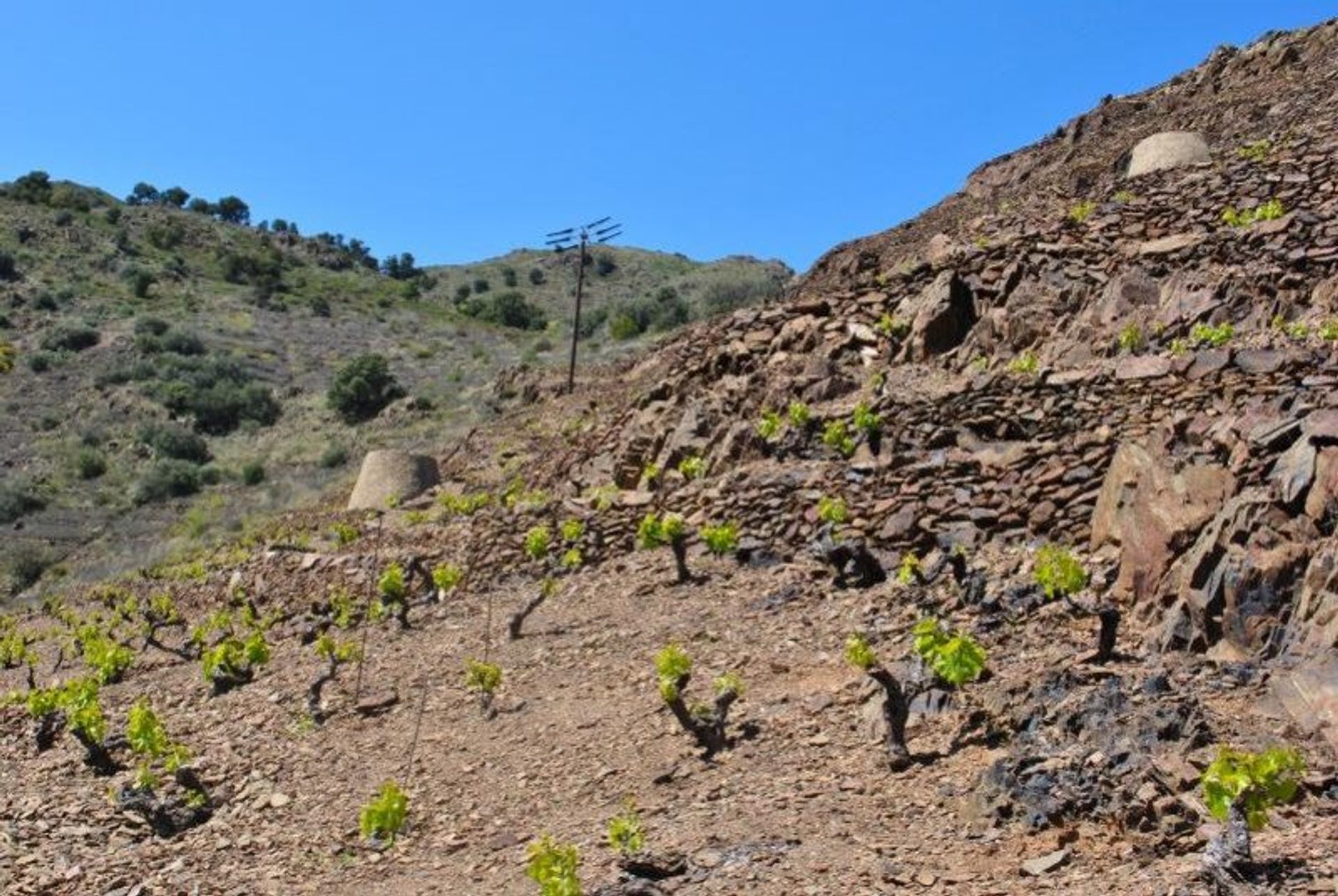 Rumah di Banyuls-sur-Mer, Occitanie 10929370