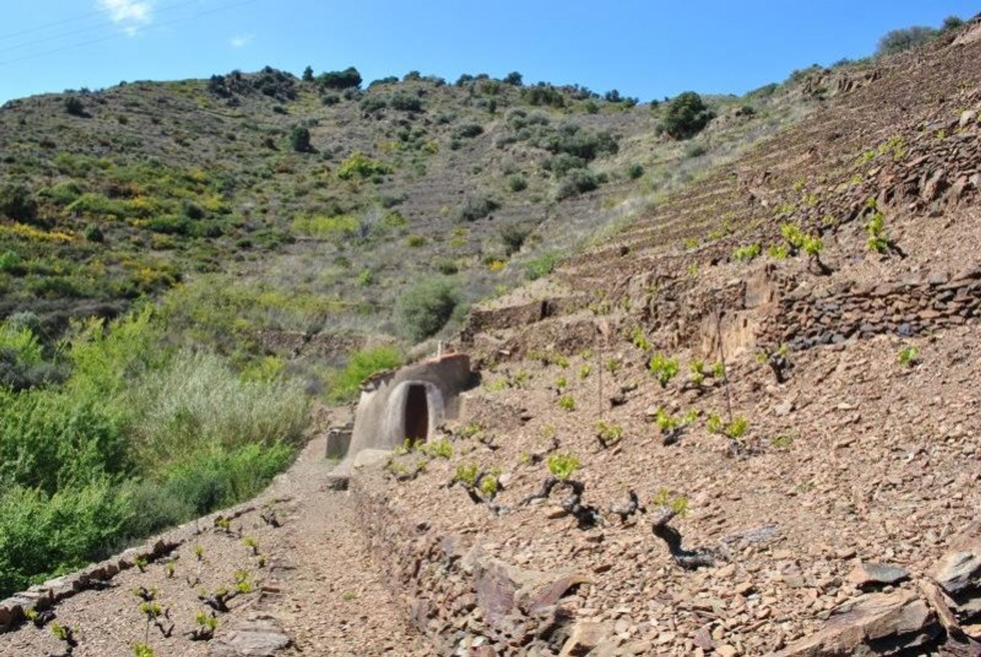 Rumah di Banyuls-sur-Mer, Occitanie 10929370