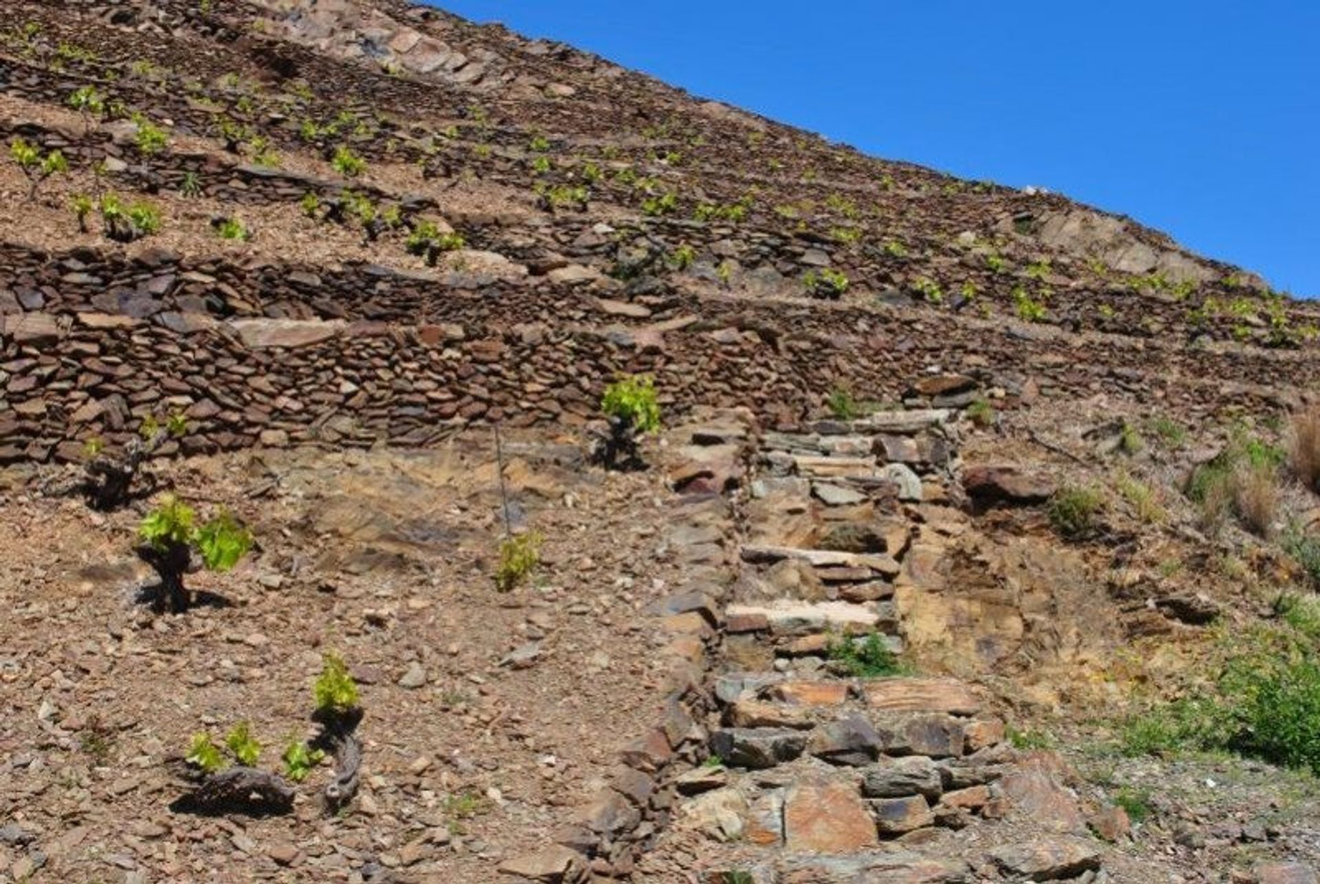 Rumah di Banyuls-sur-Mer, Occitanie 10929370