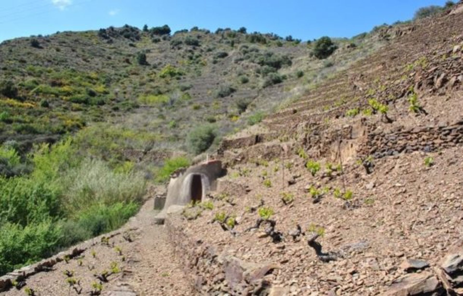 σπίτι σε Banyuls-sur-Mer, Occitanie 10929370