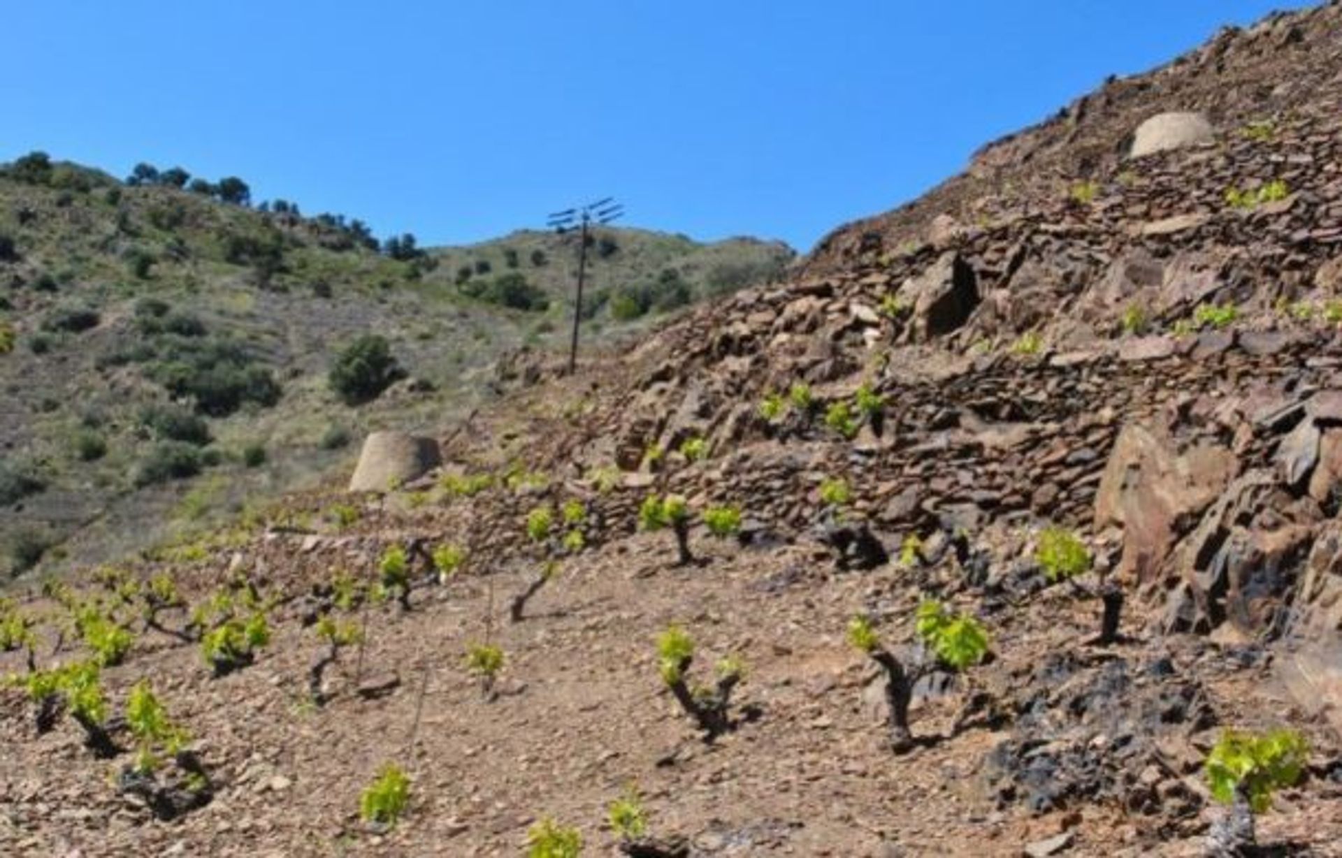 Rumah di Banyuls-sur-Mer, Occitanie 10929370