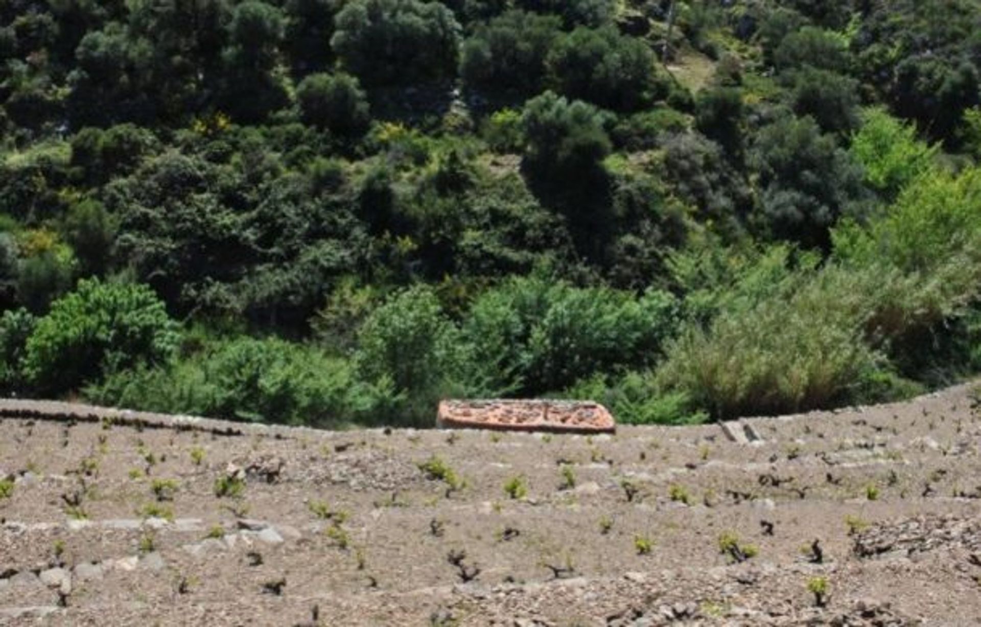 Dom w Banyuls-sur-Mer, Occitanie 10929374