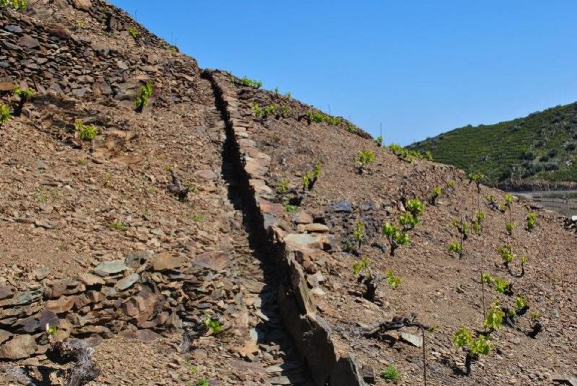 Dom w Banyuls-sur-Mer, Occitanie 10929374