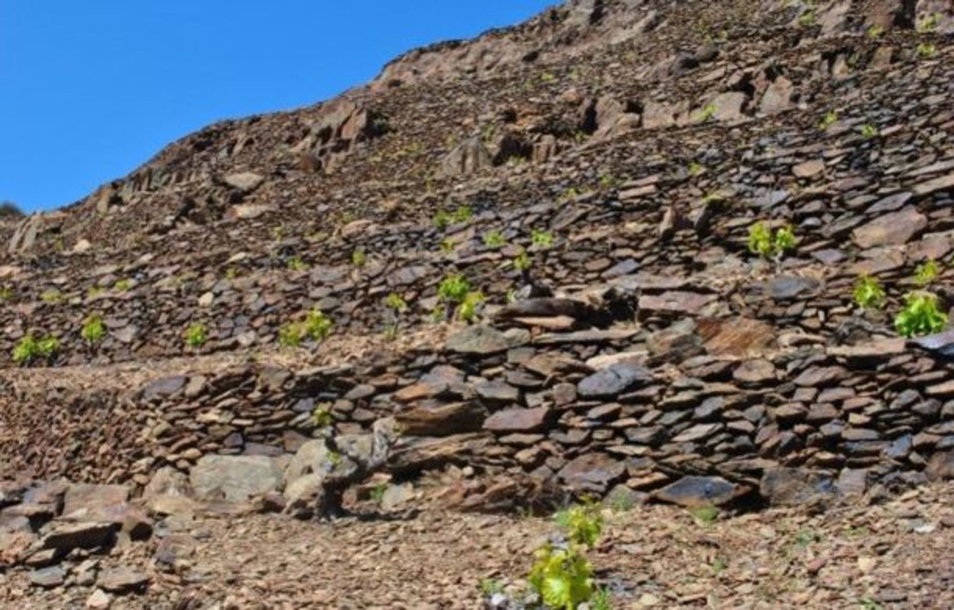 Dom w Banyuls-sur-Mer, Occitanie 10929374